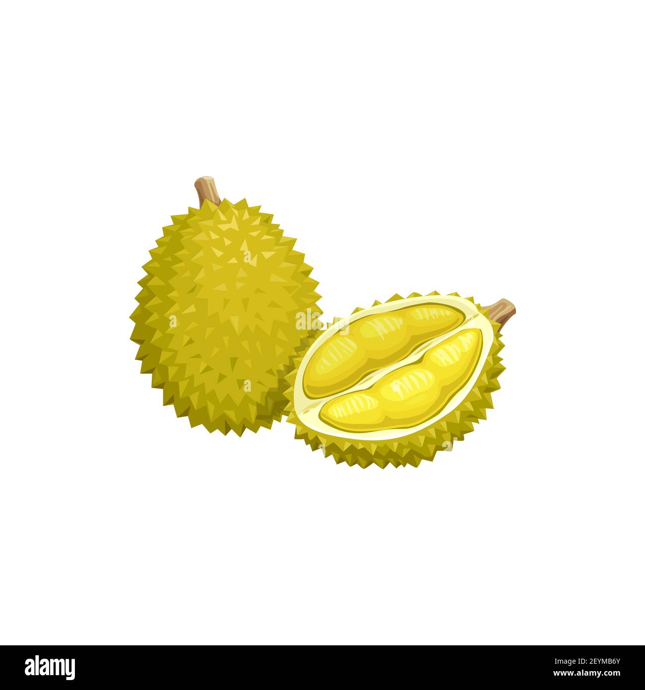 Frutta Duriana, cibo esotico tropicale, vettore isolato icona. Frutta secca sbucciata e intera, fattoria tropicale raccolta di frutta succosa e dolce dessert Illustrazione Vettoriale Frutta Duriana, cibo esotico tropicale, vettore isolato icona. Frutta secca sbucciata e intera, fattoria tropicale raccolta di frutta succosa e dolce dessert Illustrazione Vettoriale