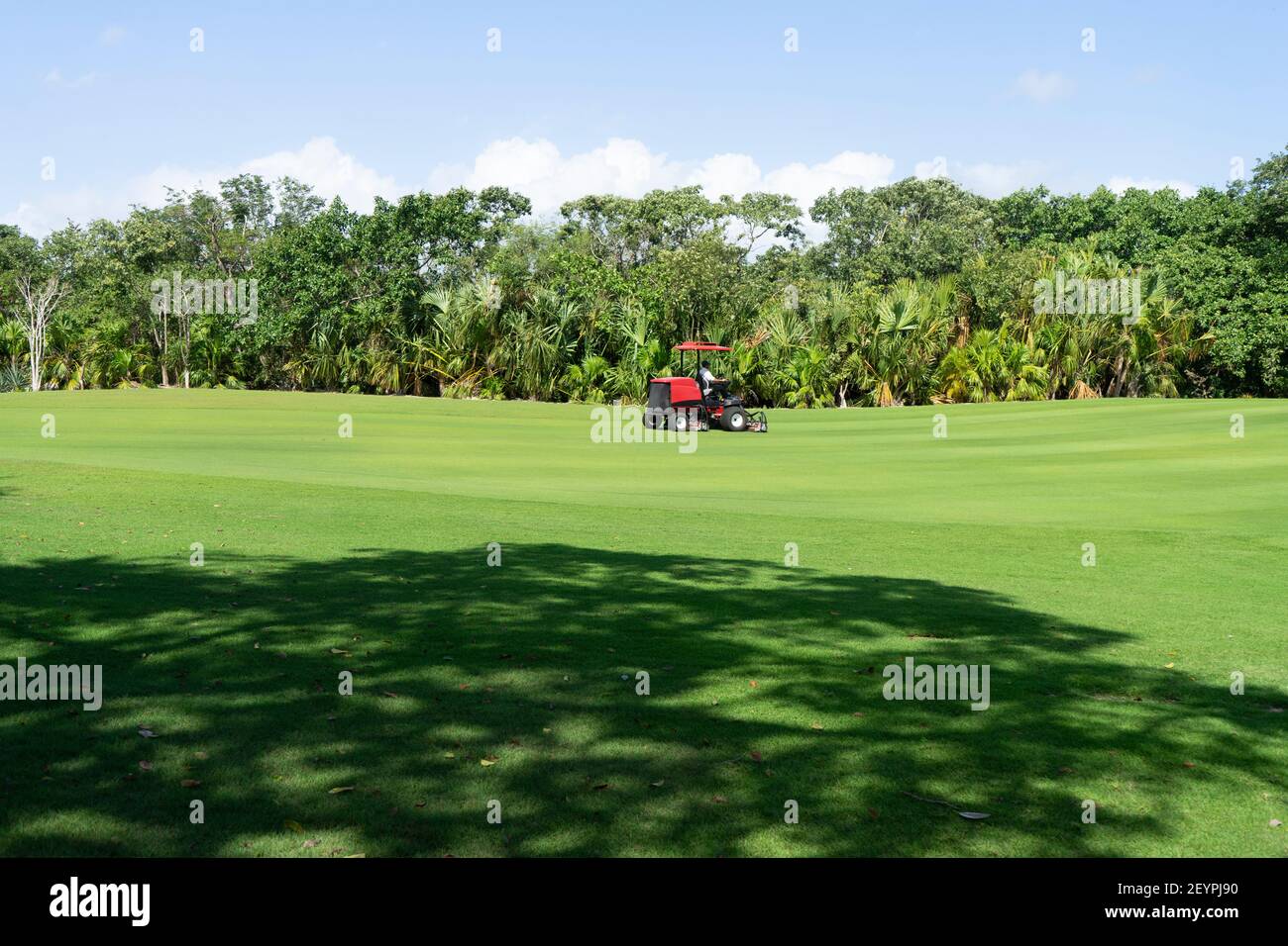Un giardiniere taglia l'erba verde sul campo da golf perfetto. Un bel campo di vista per una partita di golf con un rasaerba sul verde erba. Attrezzatura falciatrice per erba Foto Stock