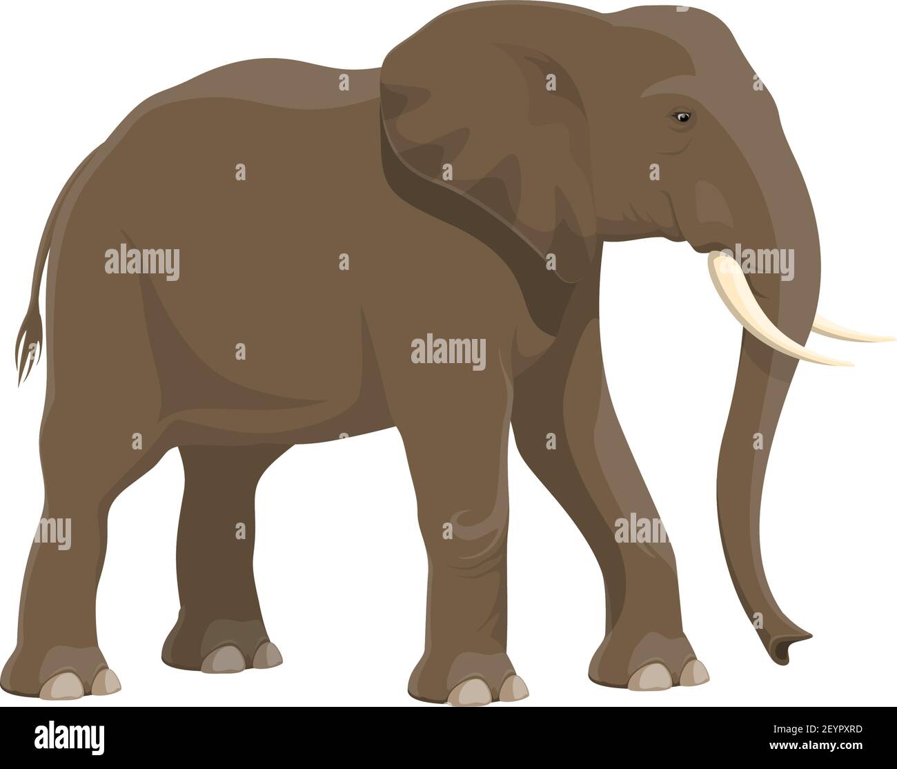Elefante animale selvaggio vettore isolato icona. Zoo safari africano e elefante trofeo di caccia alla savana Illustrazione Vettoriale