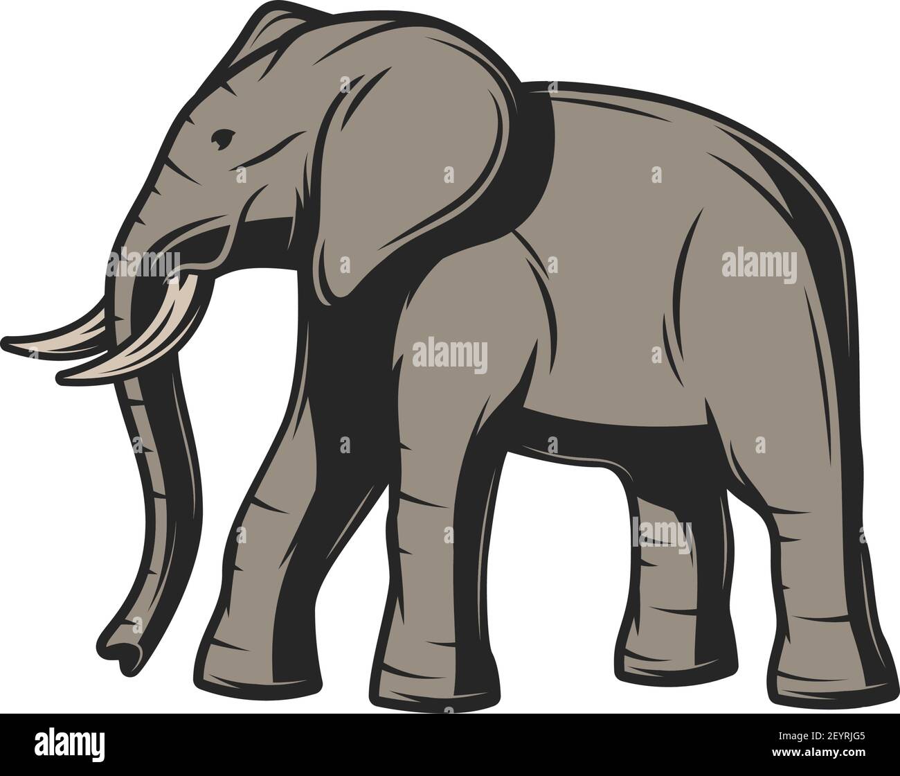 Elefante animale selvaggio icona. Vettore elefante africano o indiano, caccia safari e mammifero zoo Illustrazione Vettoriale