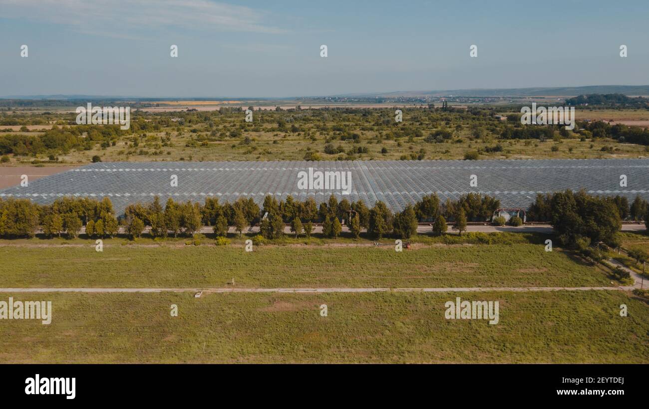 Vista dall'alto della serra. Agronomia, controllo del clima e della resa tutto l'anno, agricoltura interna, recupero del calore, consumo energetico e piano organico Foto Stock