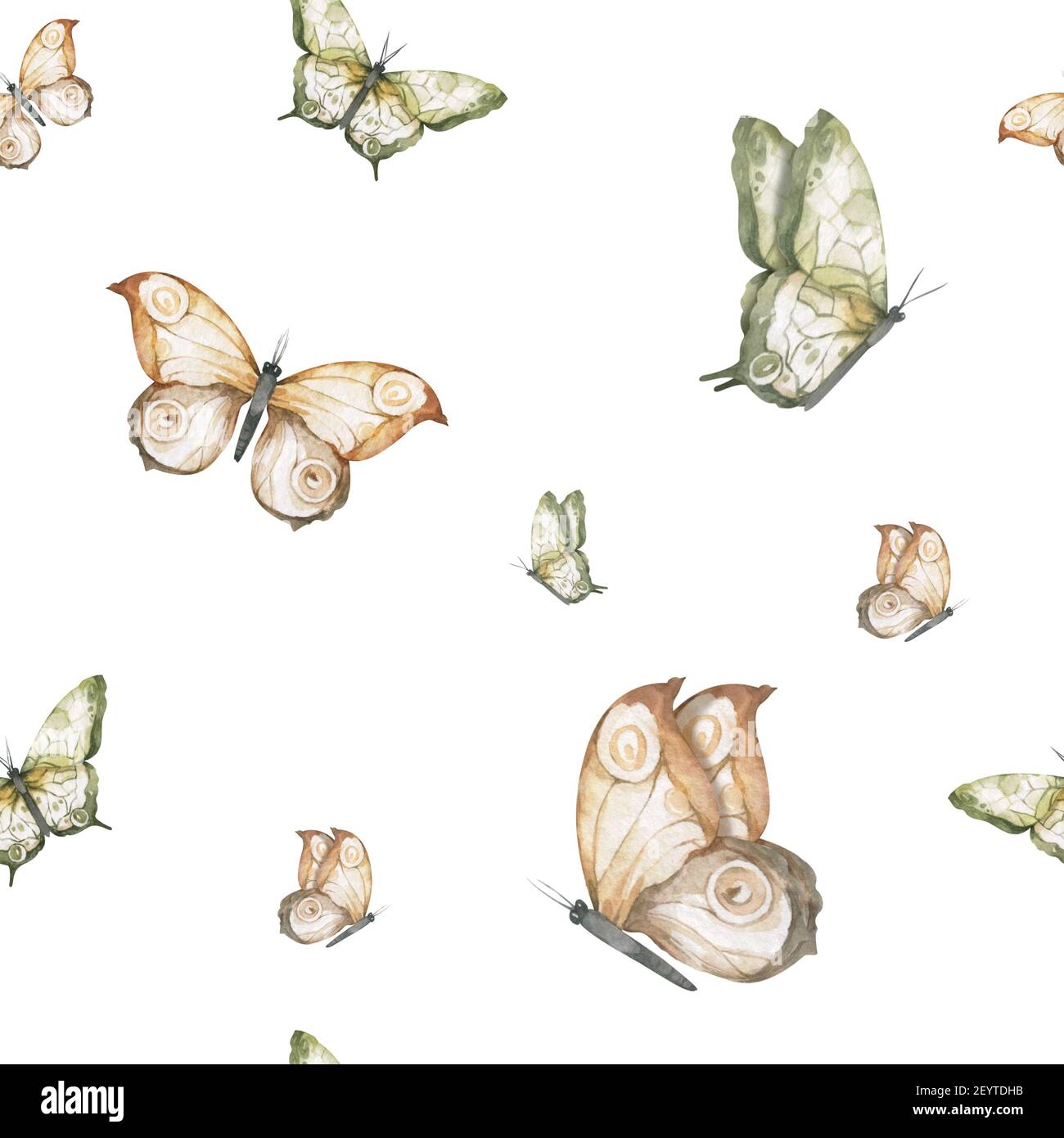 Serie di farfalle acquerello, illustrazione. Raccolta di farfalle disegnate a mano. Foto Stock