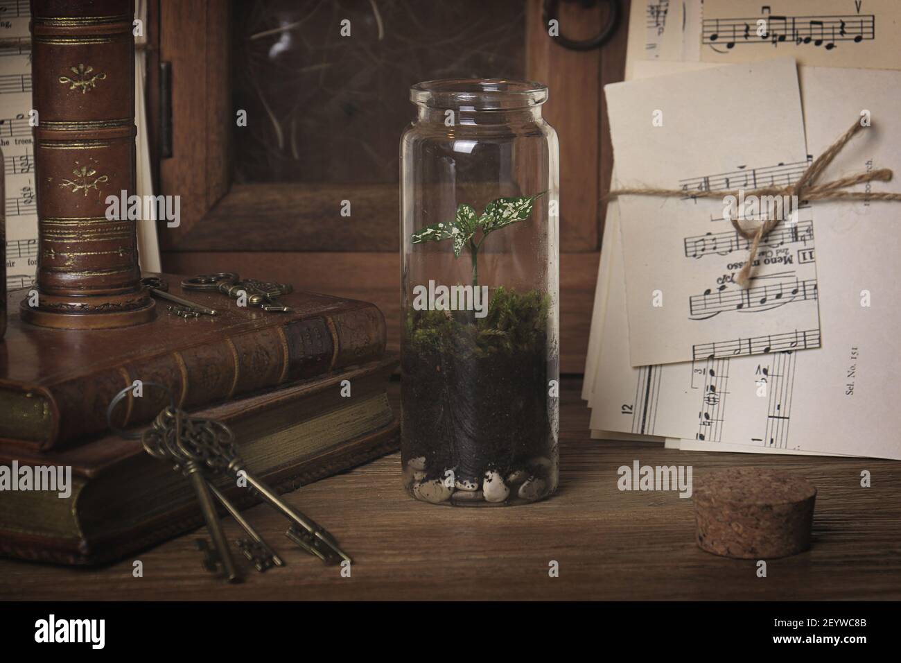 Mini vasetto di terrarium in vetro in un ambiente vintage tra libri, chiavi e spartiti. Foto Stock