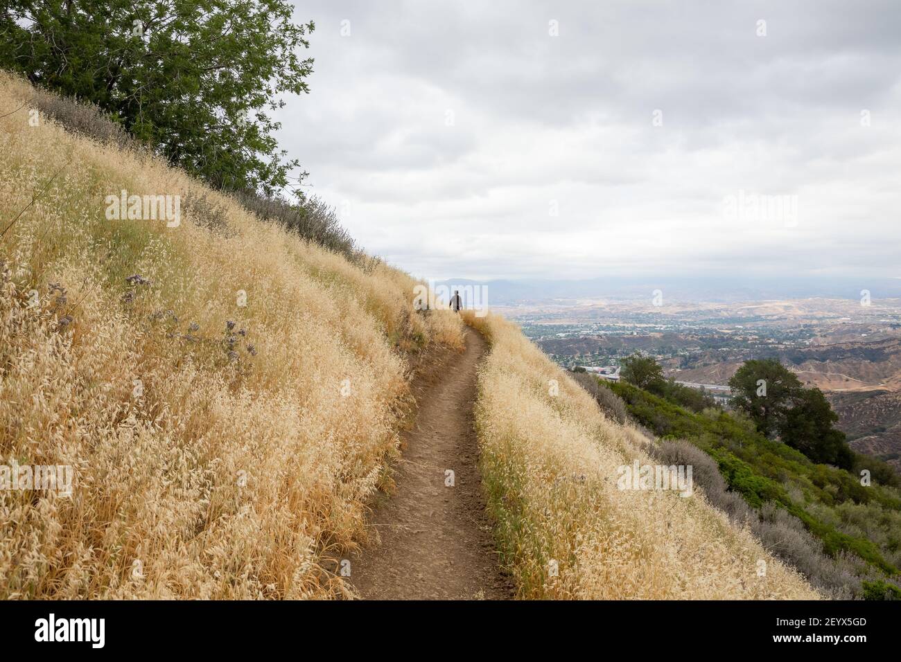 Un primo piano del sentiero escursionistico nella Santa Susana Mountain Range in California in una giornata buia Foto Stock