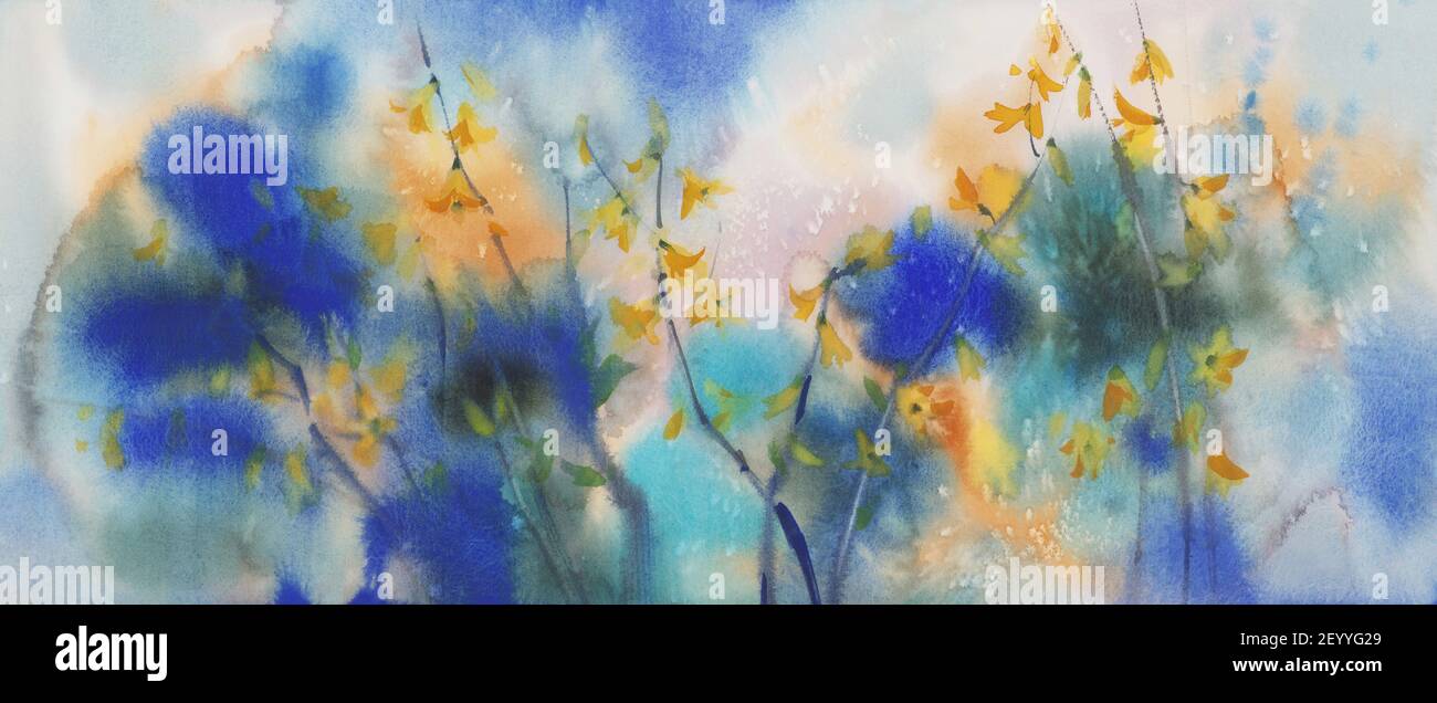 Forsite gialla su fondo acquerello blu e verde Foto Stock