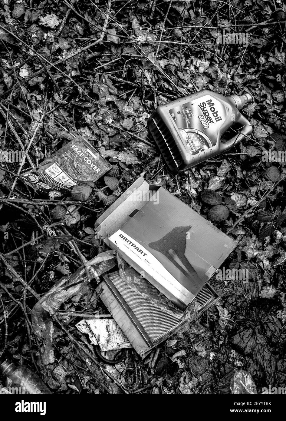 Svuotare il contenitore dell'olio motore in plastica e le altre parti dell'auto gettate in campagna. Foto Stock