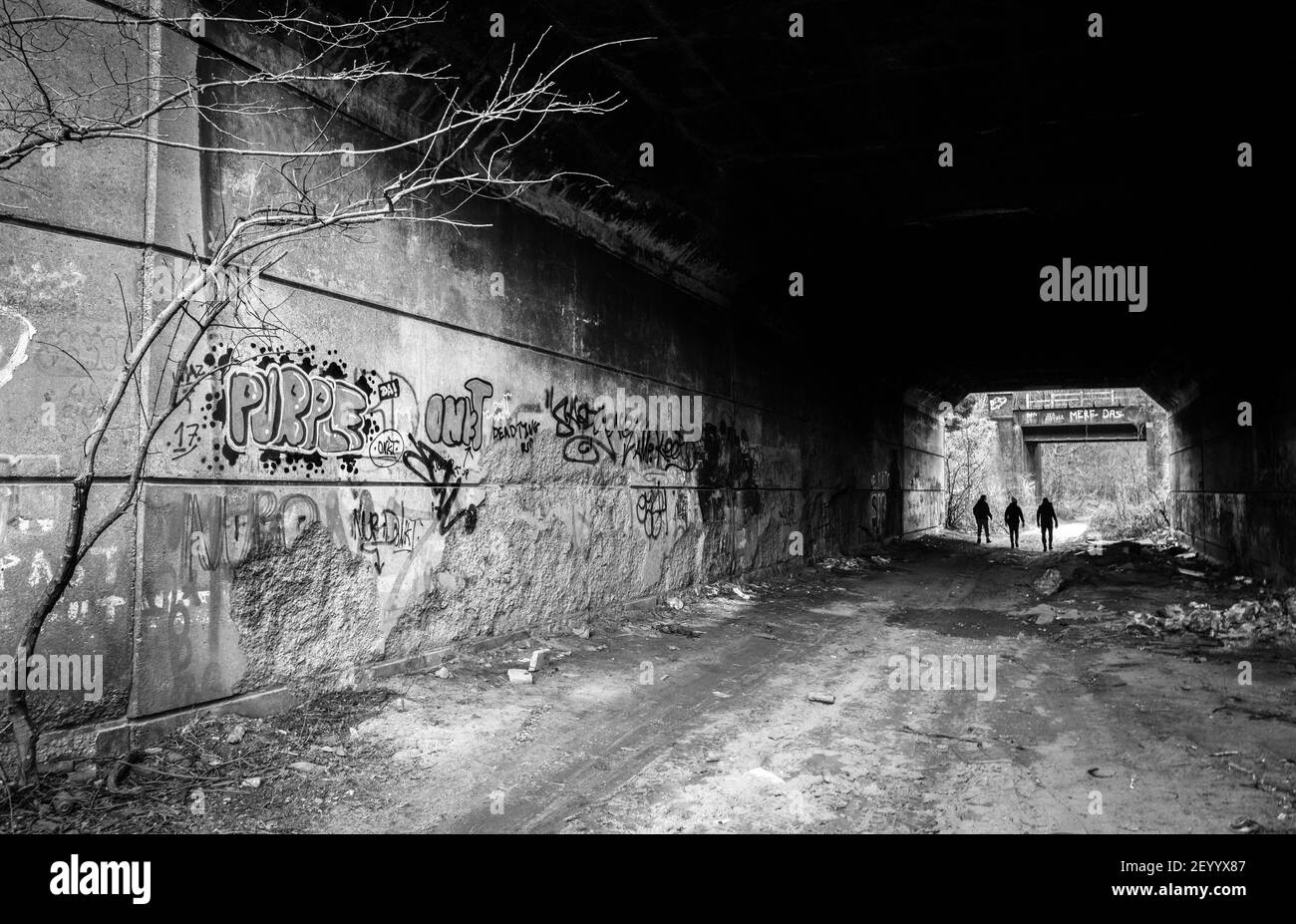 Muro graffiti e volate ribaltando all'interno di un tunnel di strada abbandonato. Foto Stock