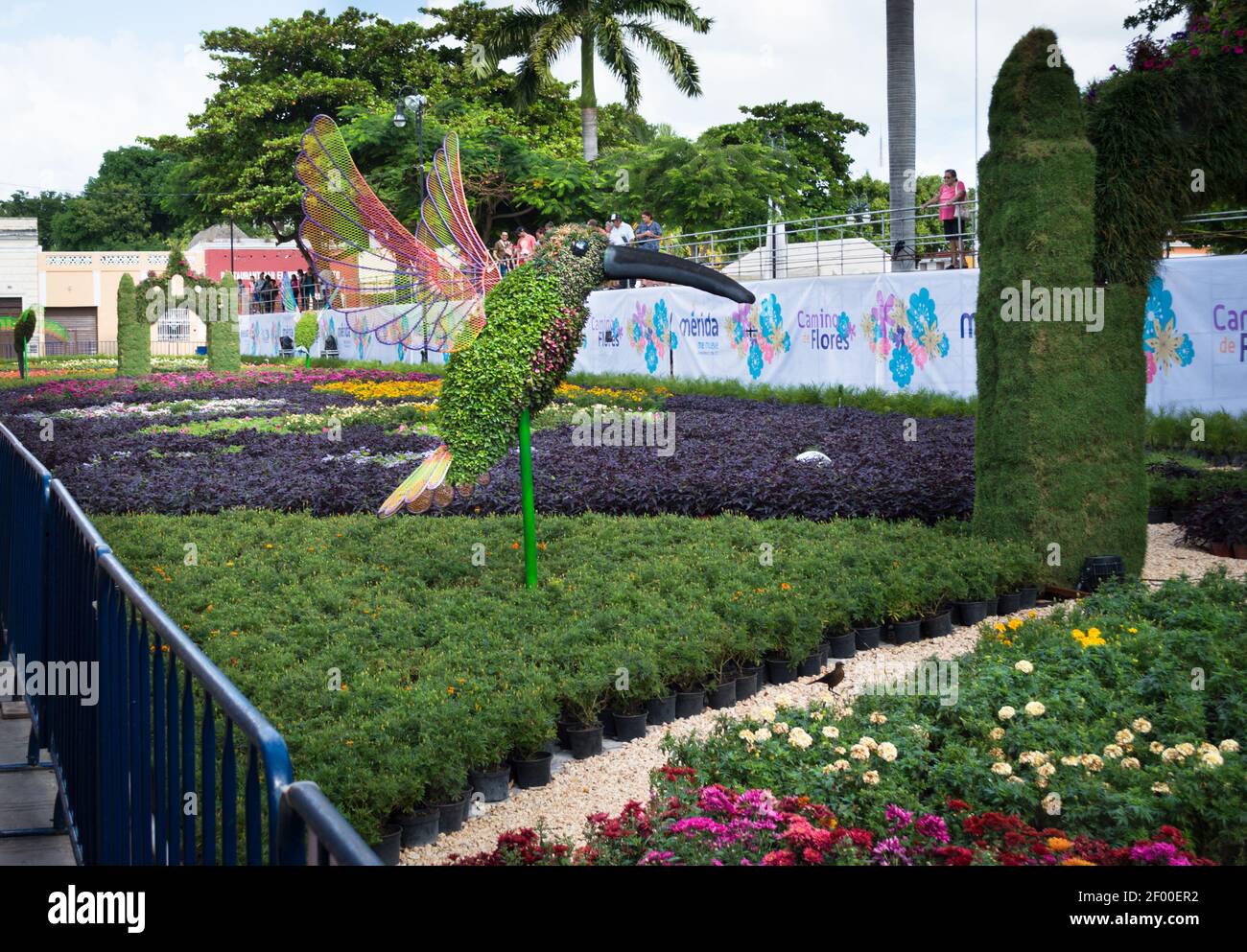 Mostra di scultura floreale e vegetale a Merida, Yucatan, Messico. Scultura di piante di Hummingbird circondata da aiuole di fiori. Foto Stock
