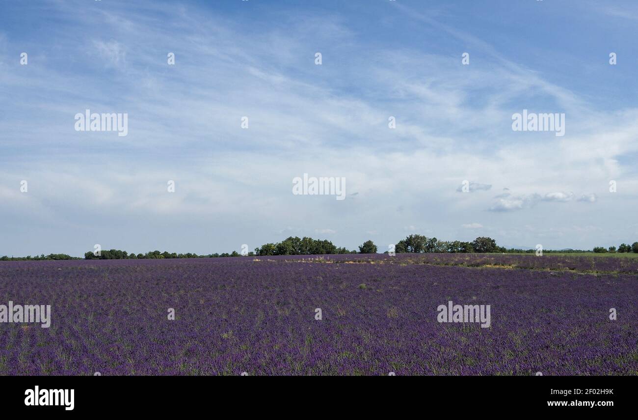 Una bella foto della Provenza, Francia , una foto d'intarsi Foto Stock