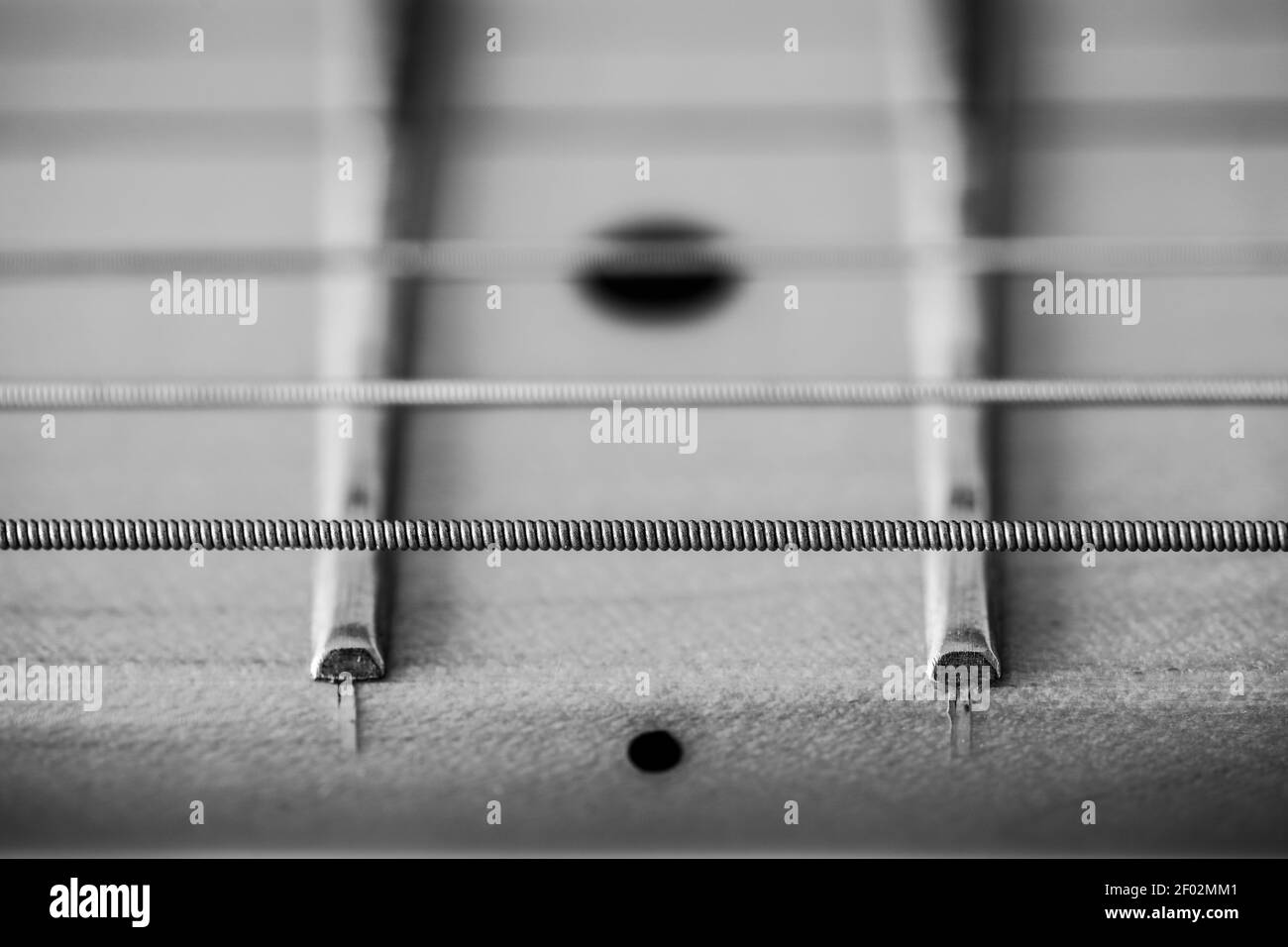 Una macro monocromatica astratta di stringhe e tasti su Il collo d'acero di un Fender Telecaster Modern Player elettrico chitarra Foto Stock