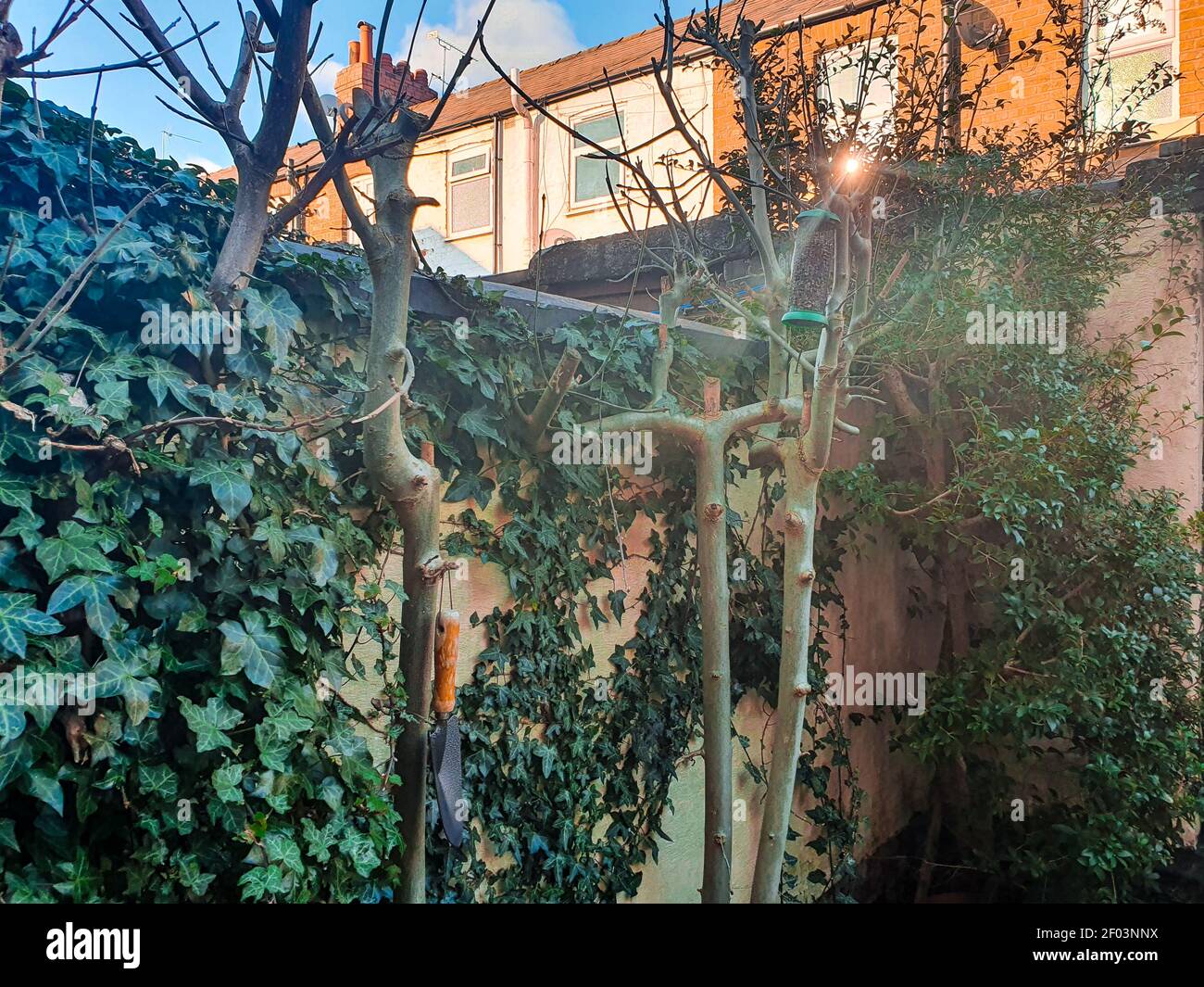 Esattamente alle 16:00 nel giardino posteriore di una casa Cheshire Foto Stock
