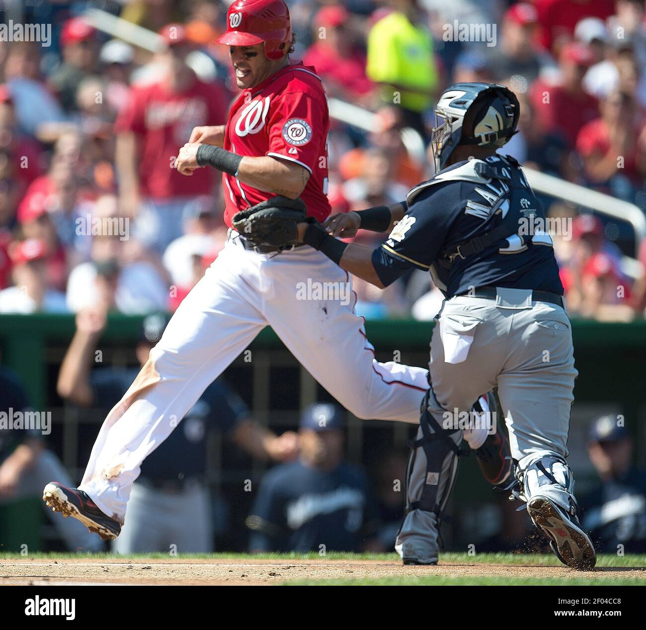 Il fielder di Washington Nationals Michael Morse (38) è contrassegnato fuori al piatto domestico da Martin Maldonado (12) del catcher dei produttori Milwaukee durante il secondo inning al Nationals Park in Washington, D.C, sabato, 22 settembre 2012. (Foto di Harry E. Walker/MCT/Sipa USA) Foto Stock