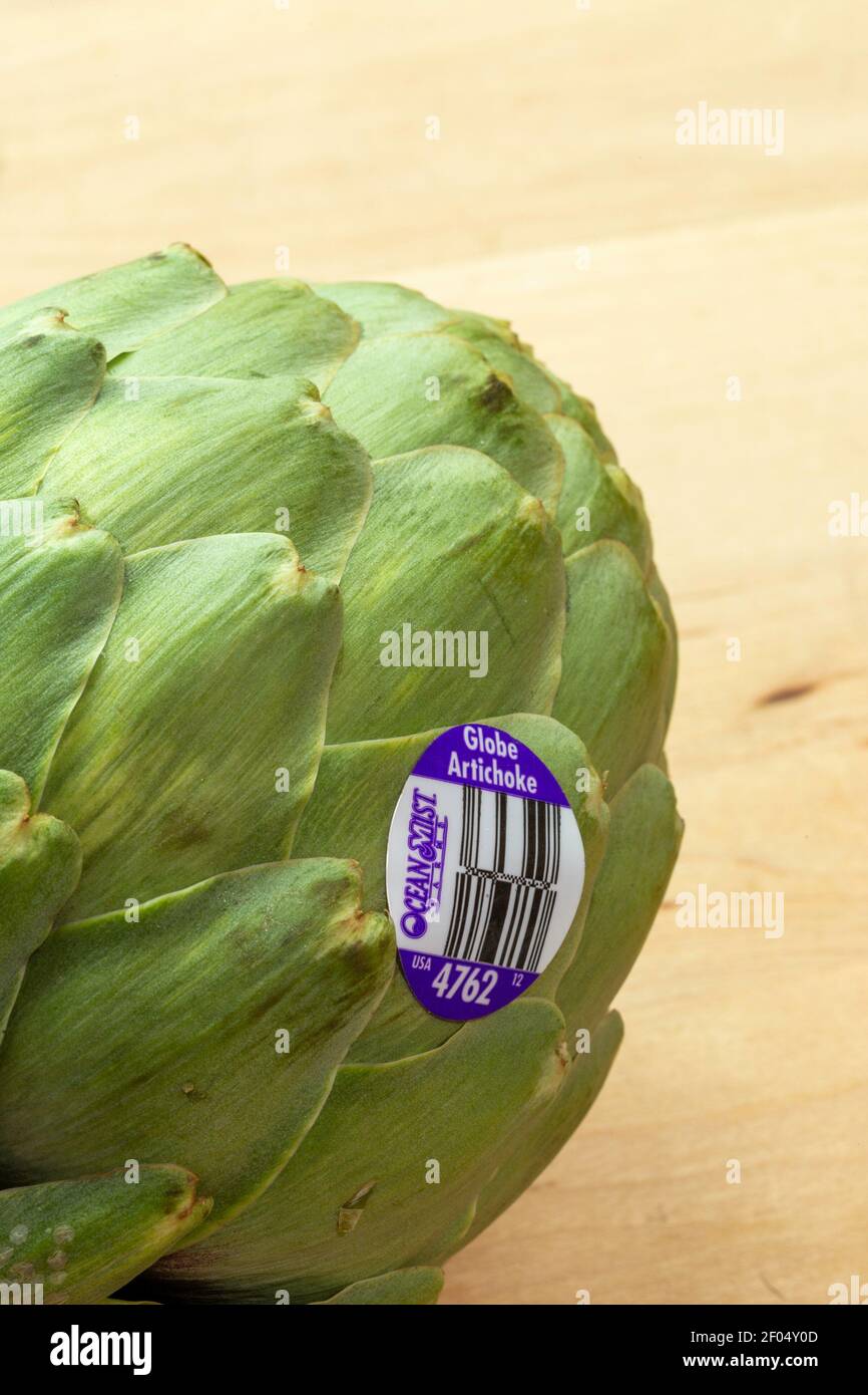 Primo piano di Raw Fresh Globe Artichoke, USA Foto Stock