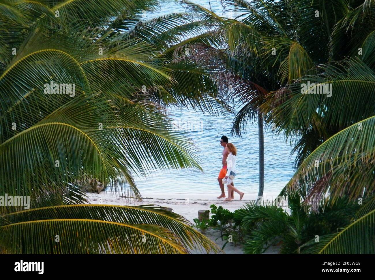 Una coppia gode della spiaggia presso il resort Blue Dolphin a Belize nel Gennaio 2012. (Ray Grumney/Minneapolis Star Tribune/TNS) Foto Stock
