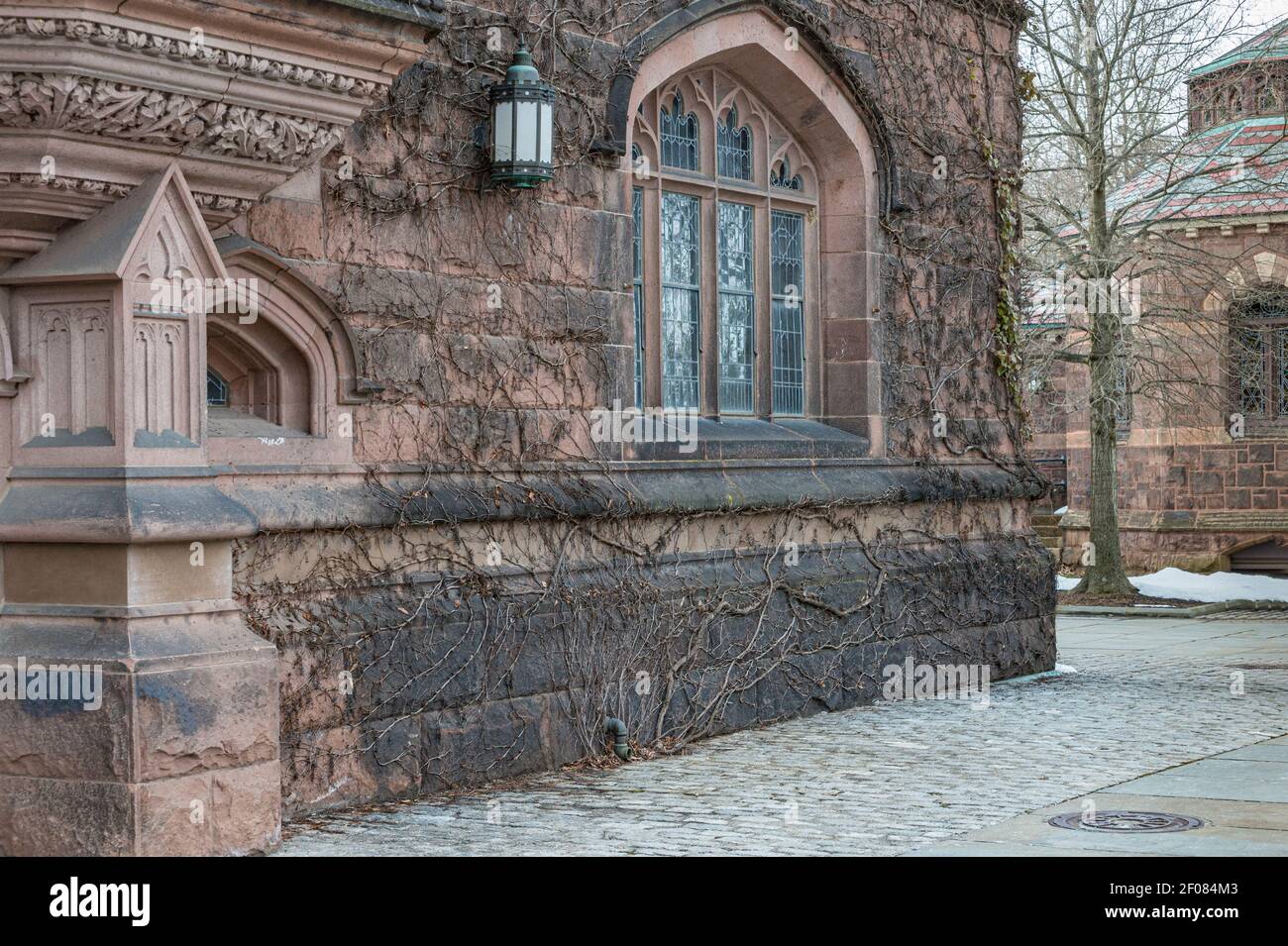 Angolo esterno dello storico vecchio edificio nel campus della Princeton University Foto Stock