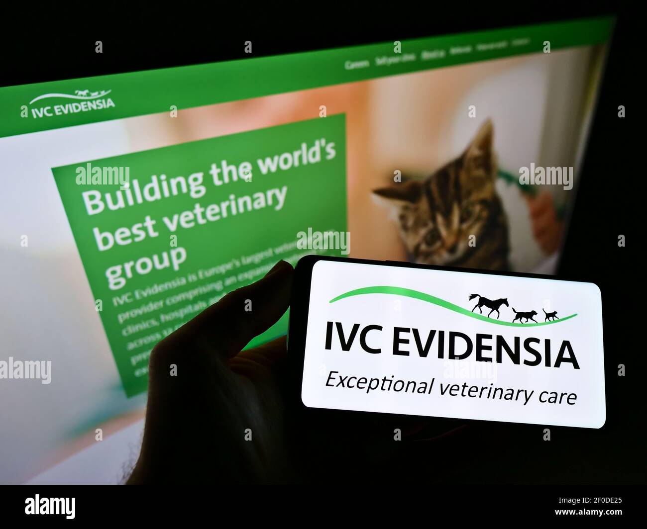 Persona che detiene smartphone con il logo della società britannica di servizi veterinari IVC Evidensia sullo schermo di fronte al sito web. Mettere a fuoco il display del telefono. Foto Stock