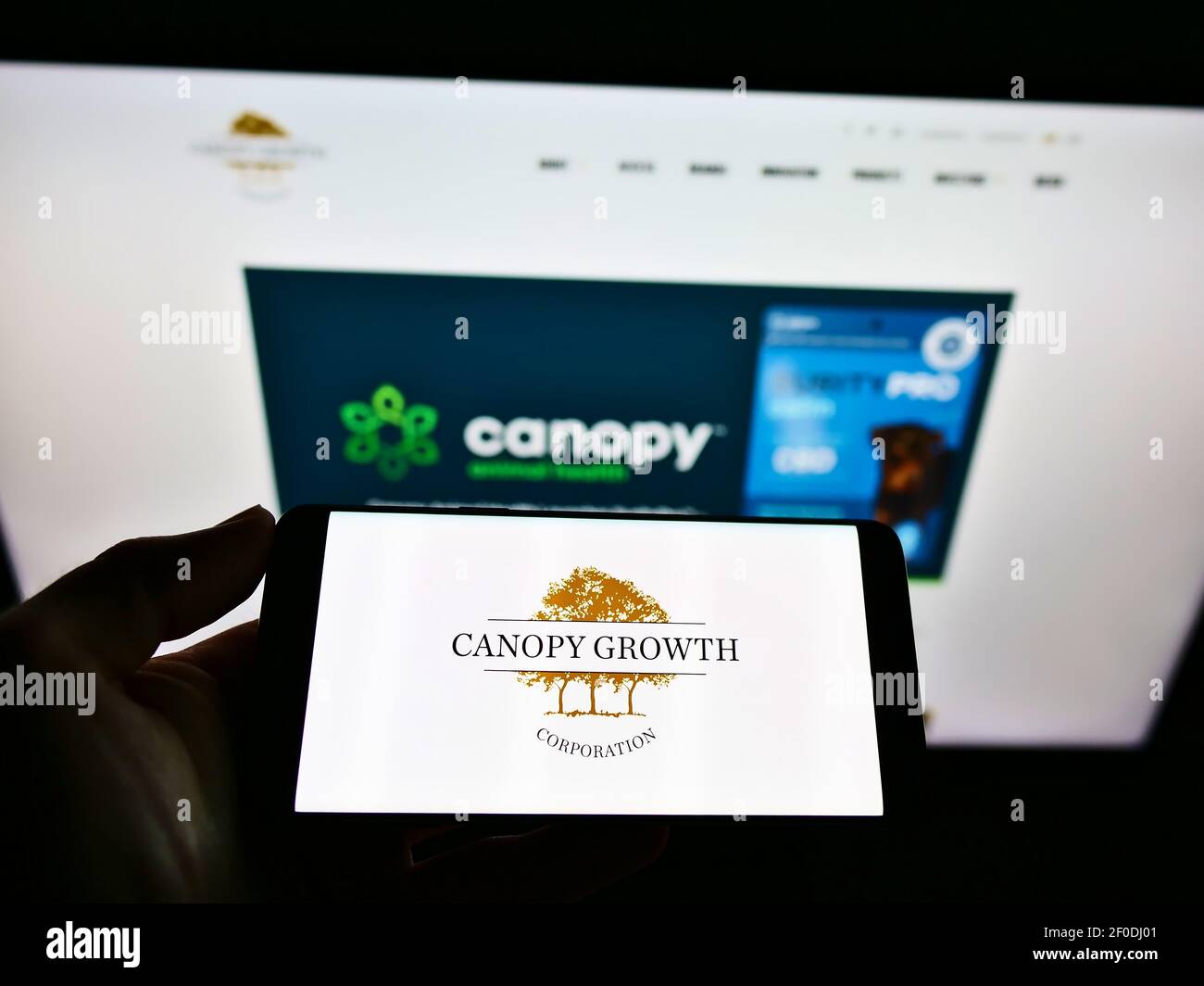 Persona che tiene il cellulare con il logo aziendale della Canopy Growth Corp. Canopy sulla schermata di fronte alla pagina web. Mettere a fuoco il display del telefono. Foto Stock