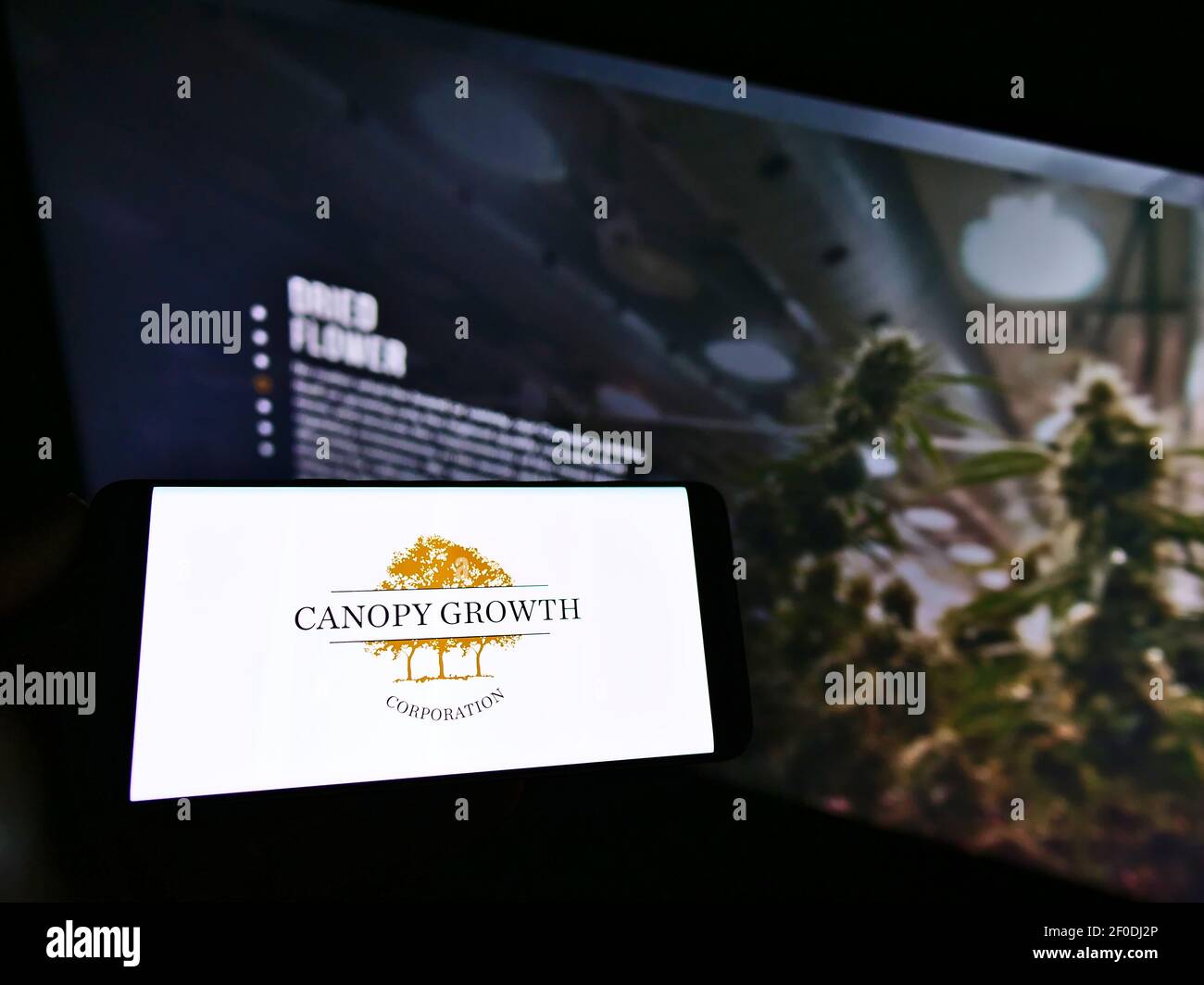 Persona che tiene uno smartphone con il logo della Canadian cannabis Company Canopy Growth Corporation sullo schermo di fronte al sito web. Mettere a fuoco il display del telefono. Foto Stock