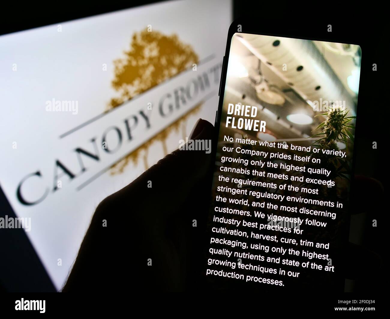 Persona che tiene il telefono mobile con il sito web della Canopy Growth Corporation Canadian cannabis Company su schermo con il logo. Mettere a fuoco il centro del display del telefono. Foto Stock
