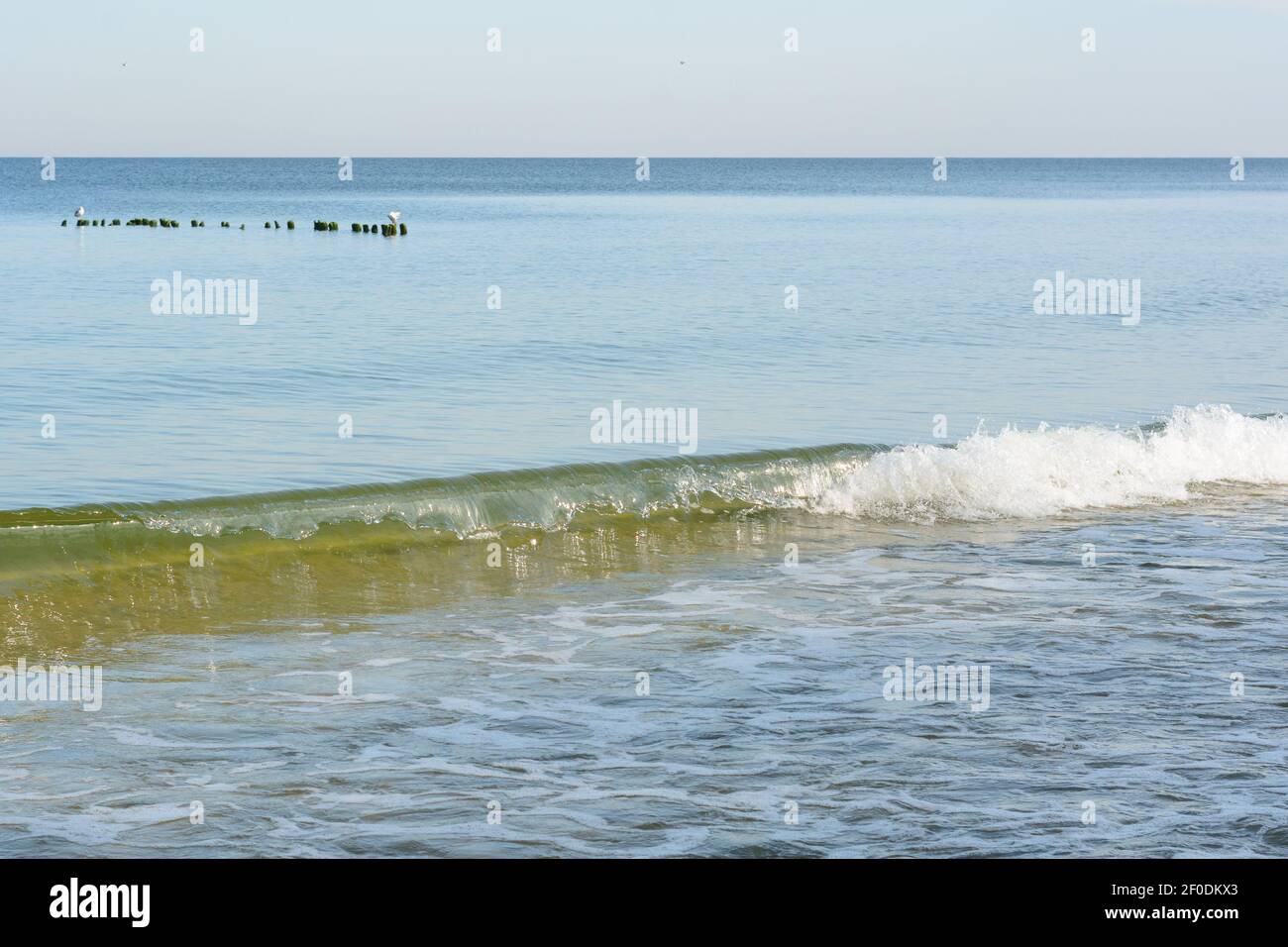 Onda morbida di surf con rotoli di schiuma bianca sul mare. Stagcape di sera, umore di viaggio. Foto Stock