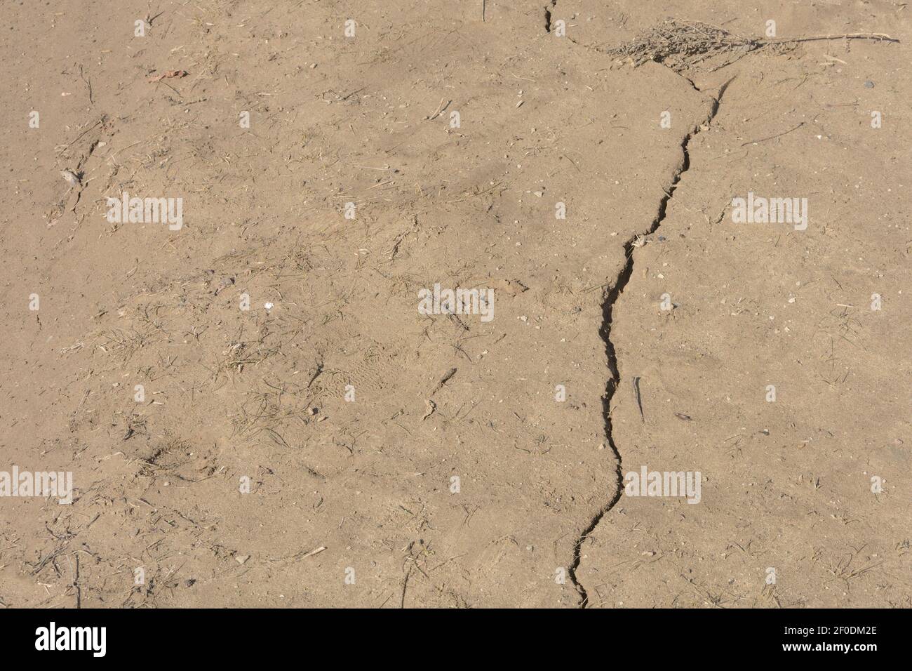 Crepa in terreno asciutto nella primavera precedente. Suolo texture, luce del sole. Spazio di copia, messa a fuoco selettiva. Foto Stock