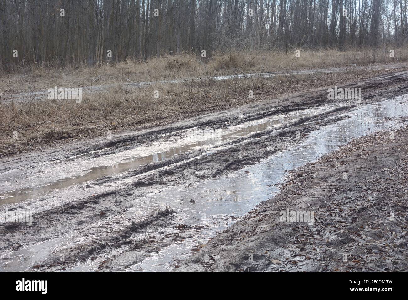 Strada sterrata con fango liquido e puddle in primavera. Tracce di auto bloccata. Foto Stock