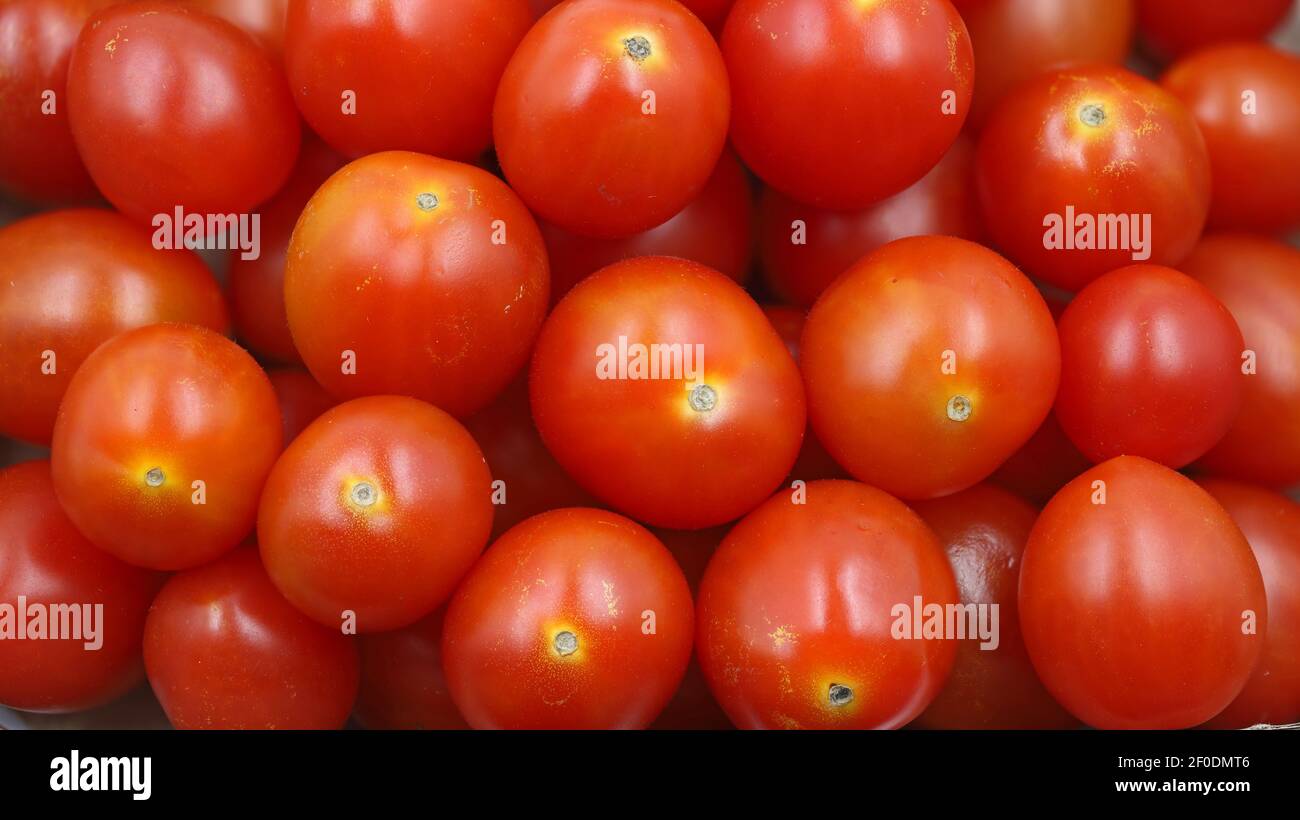 primo piano di pomodori ciliegini rossi freschi, sfondo di verdure rosse Foto Stock