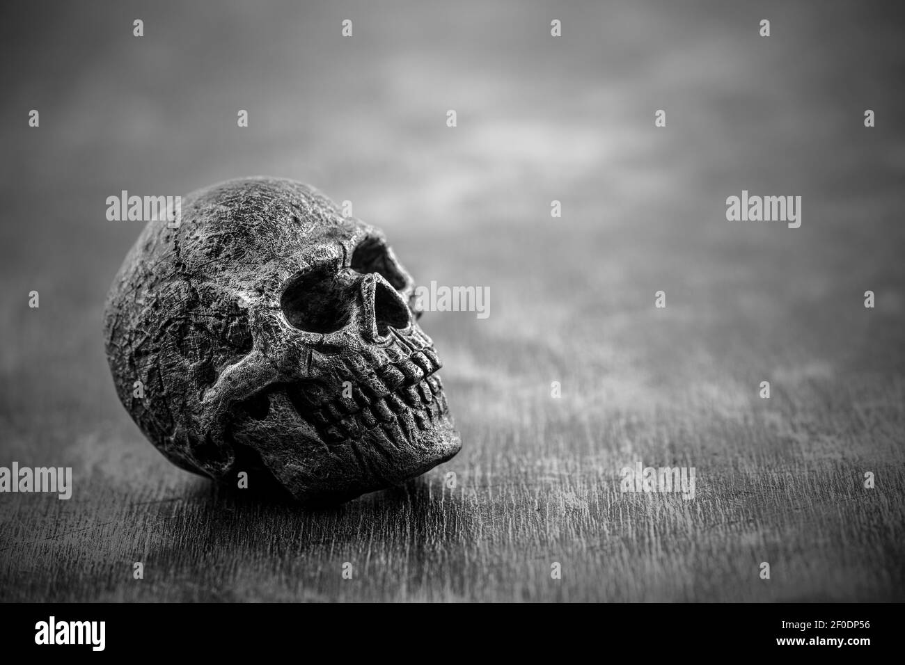 Vecchio cranio in bianco e nero Foto Stock
