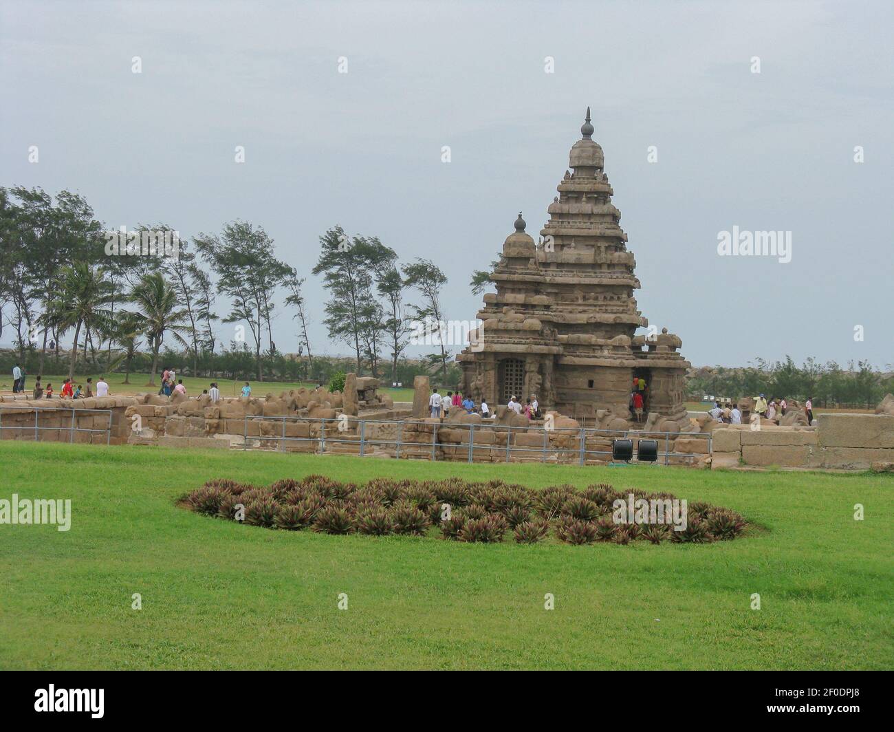 Il famoso Shore Temple con erba e alberi intorno si trova Sulla riva del mare a Mahabalipuram Chennai India ha cliccato su 25 dicembre 2008 Foto Stock