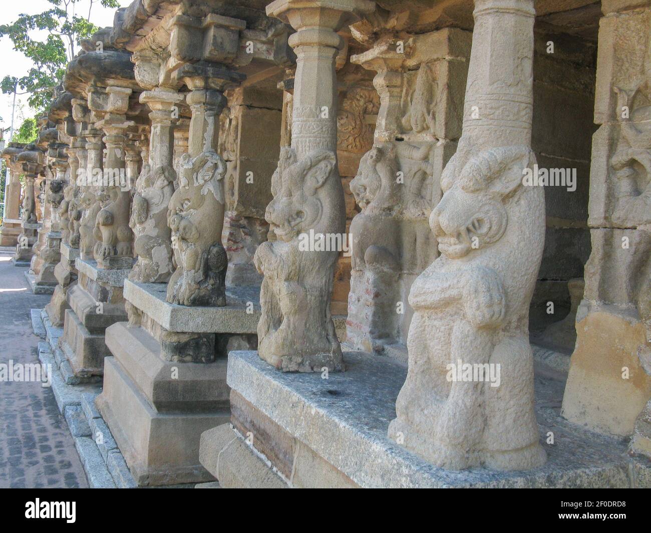 Immagine selettiva a fuoco di sculture a forma di animale scolpite Le mura dei templi di Dio indù Foto Stock