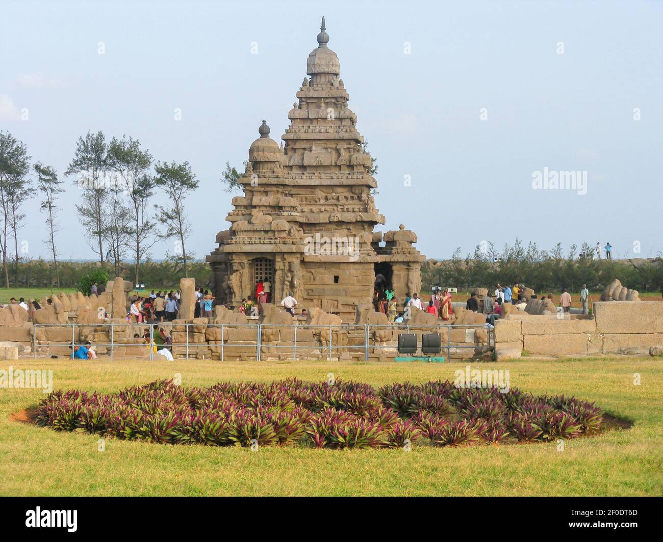 Il famoso Shore Temple con erba e alberi intorno si trova Sulla riva del mare a Mahabalipuram Chennai India ha cliccato su 25 dicembre 2008 Foto Stock