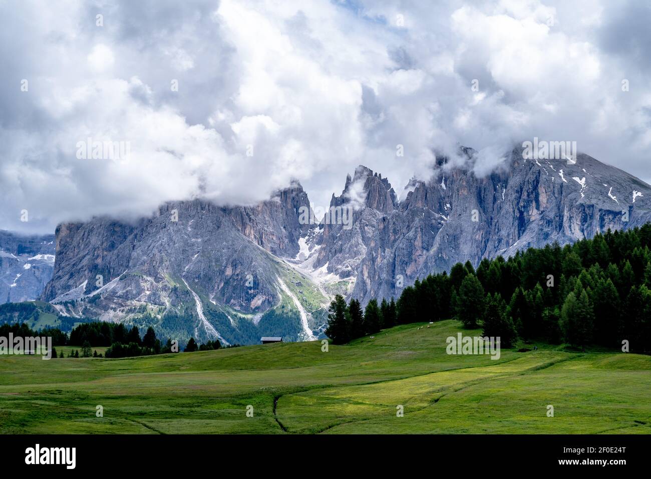I verdi prati dell'Alpe di Seiser nelle alpi iltaliane. Foto Stock