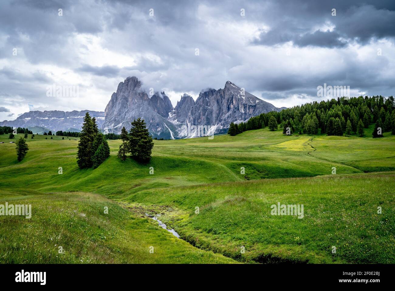 I verdi prati dell'Alpe di Seiser nelle alpi iltaliane. Foto Stock