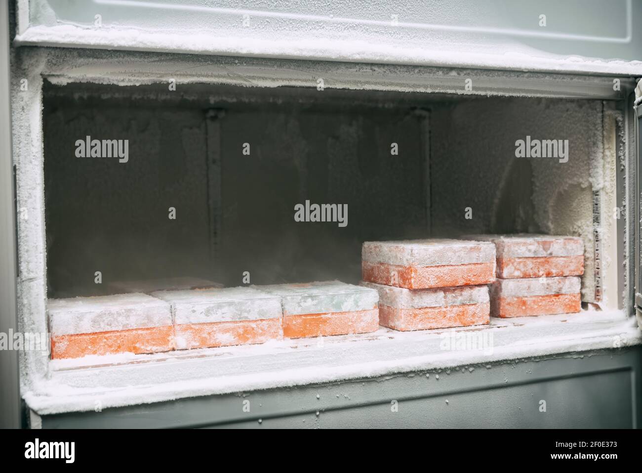 Campioni congelati conservati in laboratorio Foto Stock