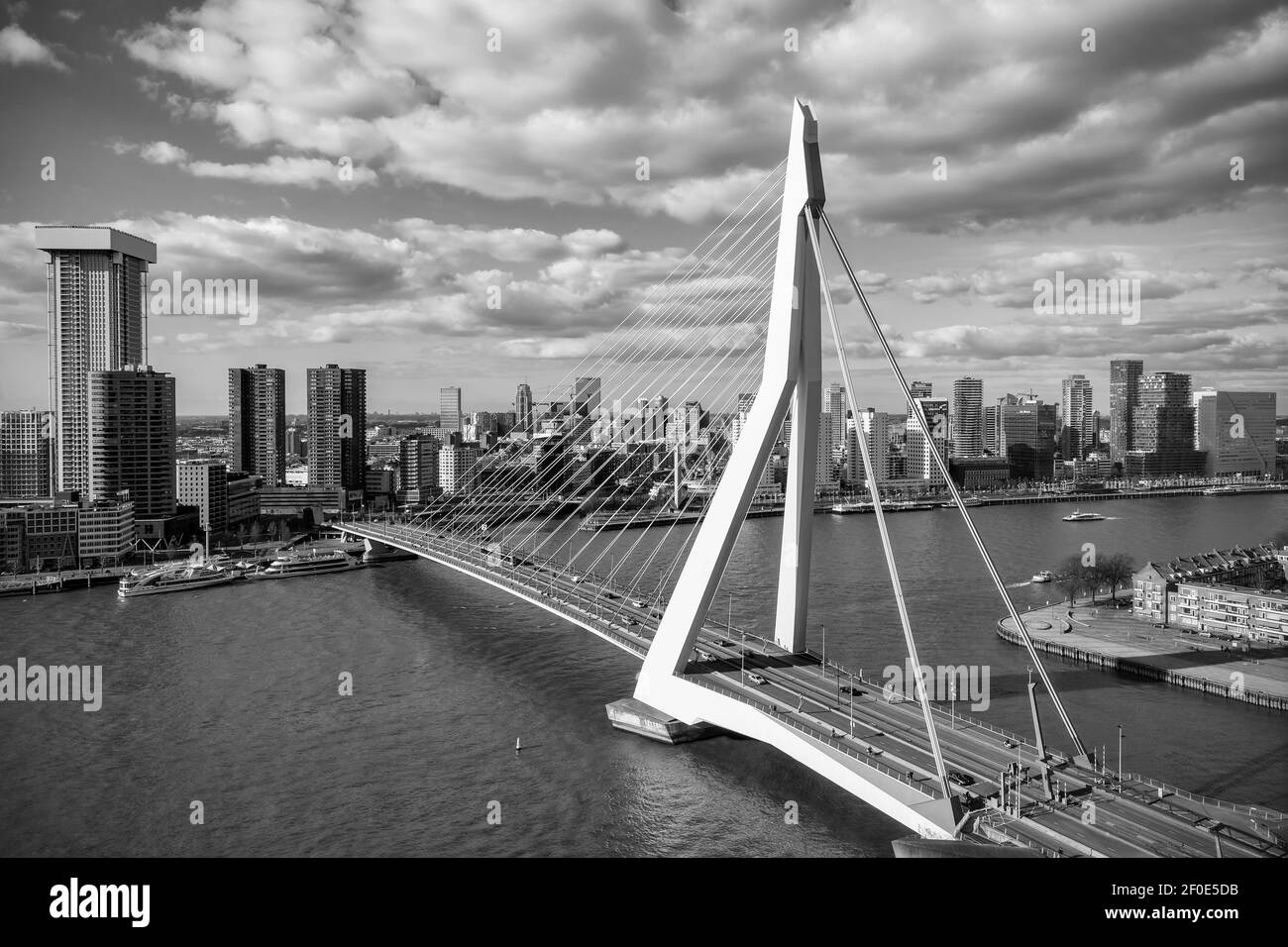 Skyline di Rotterdam con ponte Erasmusbrug in bianco e nero. Foto Stock
