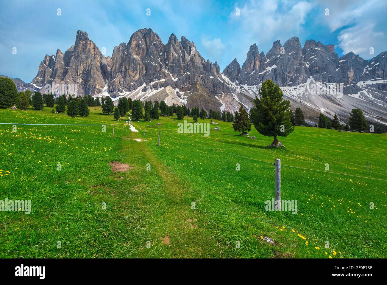 Splendido paesaggio alpino estivo, campi verdi fioriti, pini e alte montagne innevate sullo sfondo, gruppo di Geisler - Odle, Alto Adige, D. Foto Stock