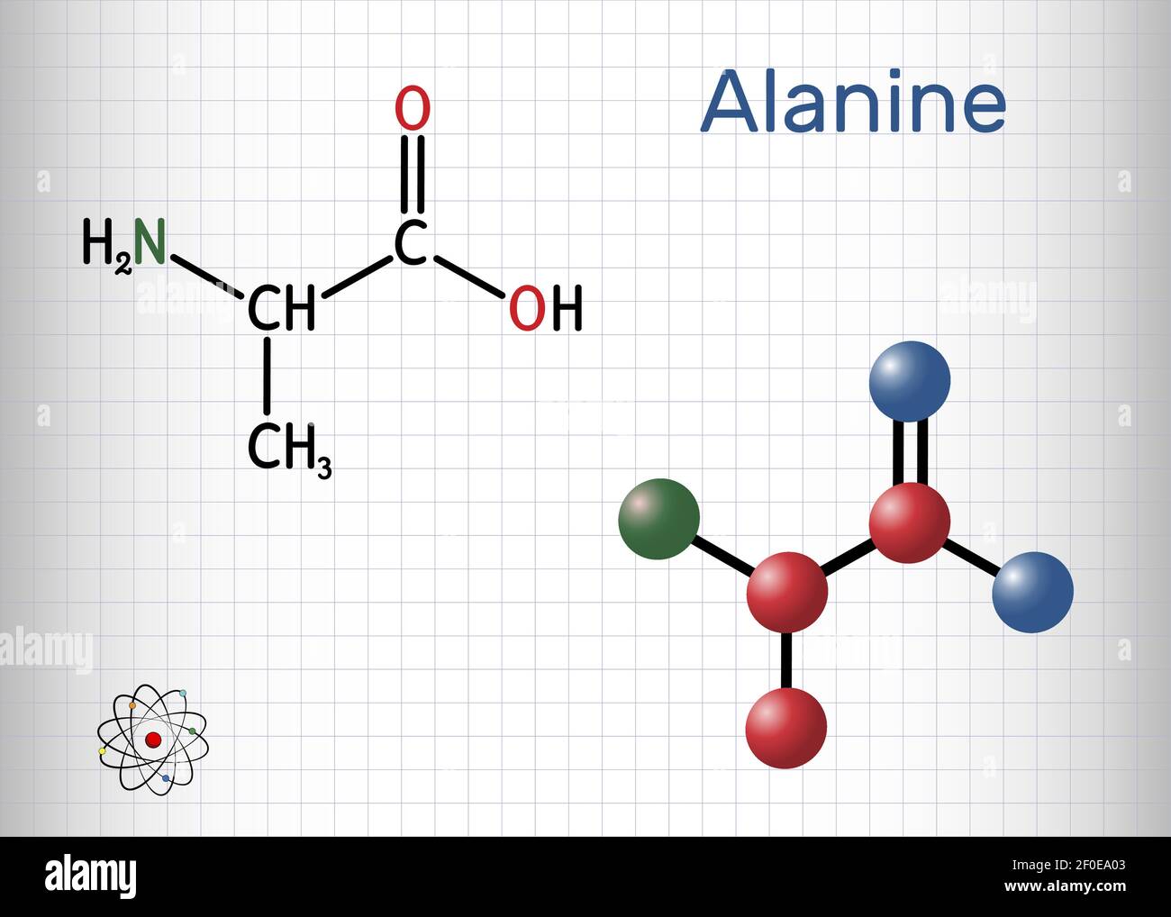 Alanina, L-alanina, Ala, una molecola. È amminoacido non essenziale. Formula chimica strutturale e modello molecolare. Foglio di carta in gabbia. Vettore Illustrazione Vettoriale