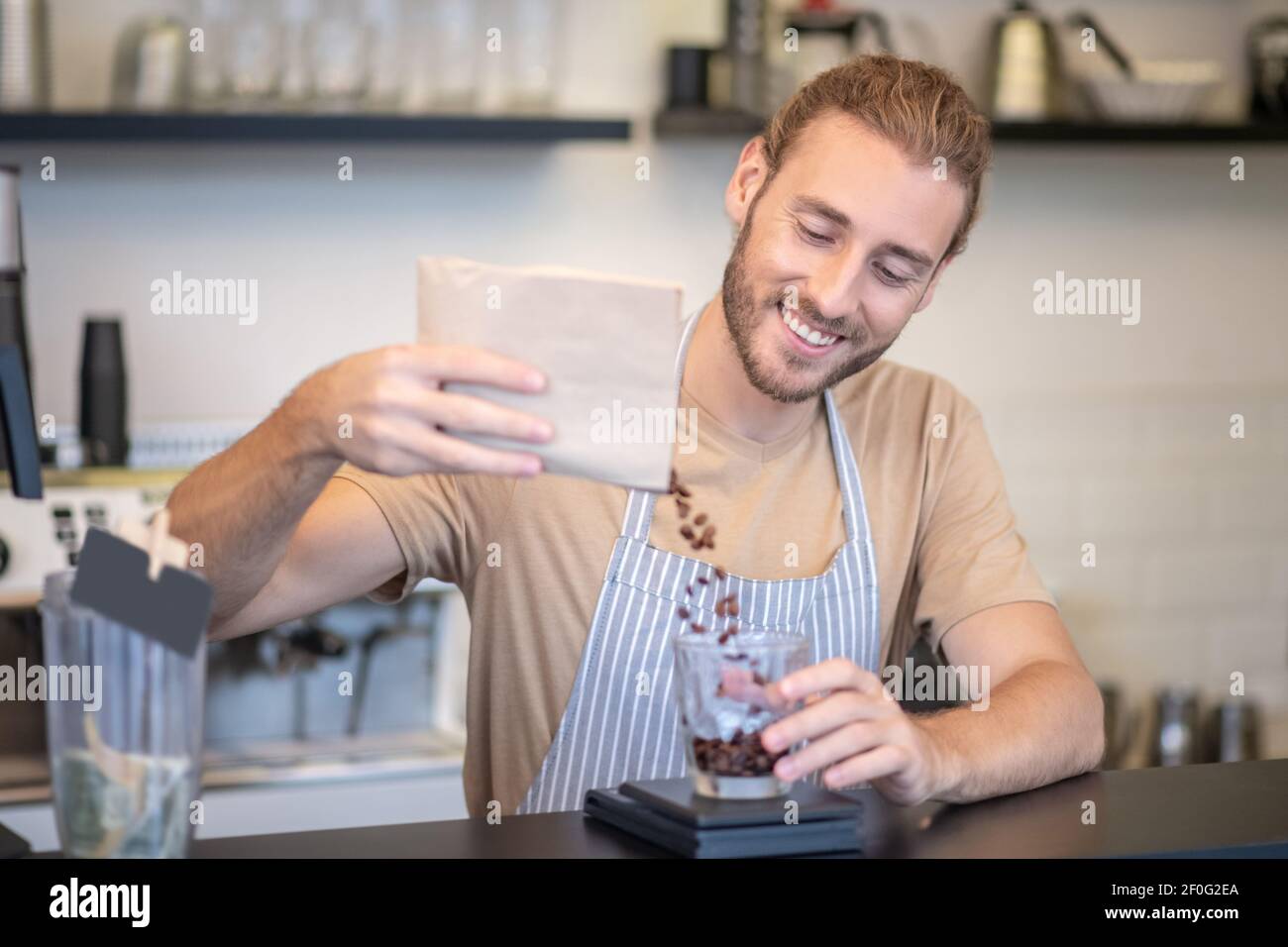Uomo in grembiule che versa felicemente chicchi di caffè Foto Stock