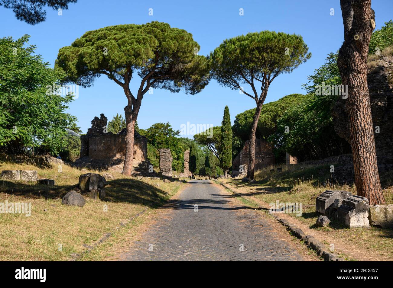 Roma. Italia. Via Appia Antica (Via Appia Antica), alberi di pino in pietra del Mediterraneo e monumenti funerari che costeggiano l'antica strada romana. Foto Stock