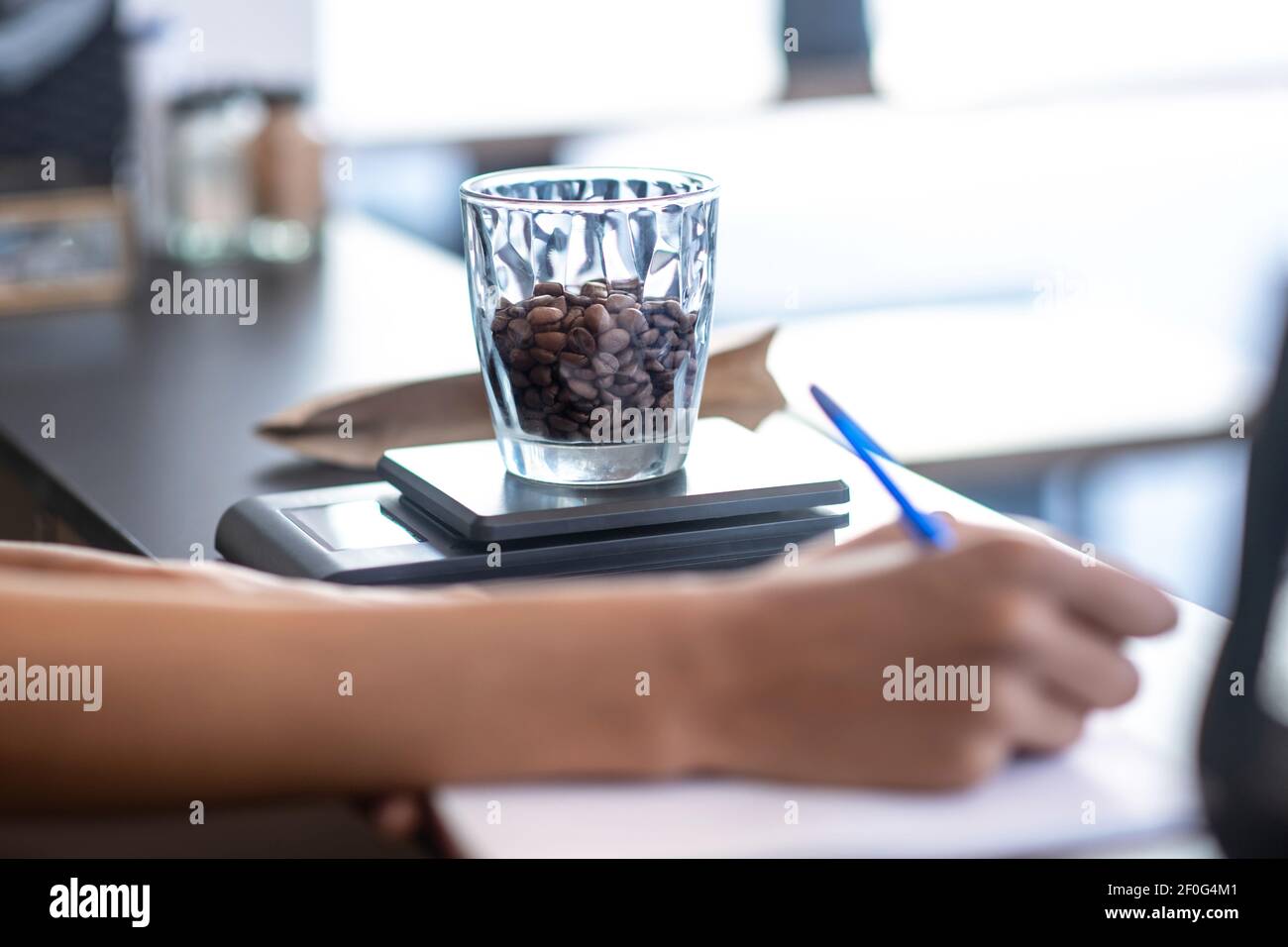 Chicchi di caffè in vetro su bilancia vicino alla mano di scrittura femminile Foto Stock