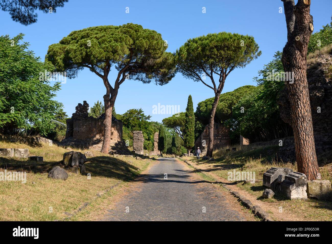 Roma. Italia. Via Appia Antica (Via Appia Antica), alberi di pino in pietra del Mediterraneo e monumenti funerari che costeggiano l'antica strada romana. Foto Stock