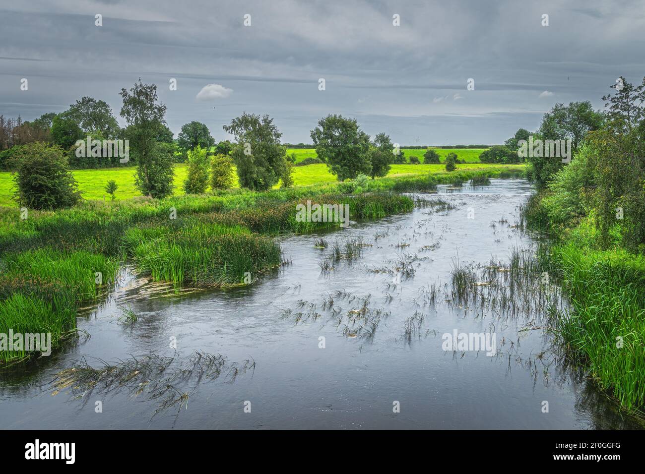 Campi verdi di agricoltura e prati con una foresta sulla riva del fiume Boyne, conte Meath, Irlanda Foto Stock