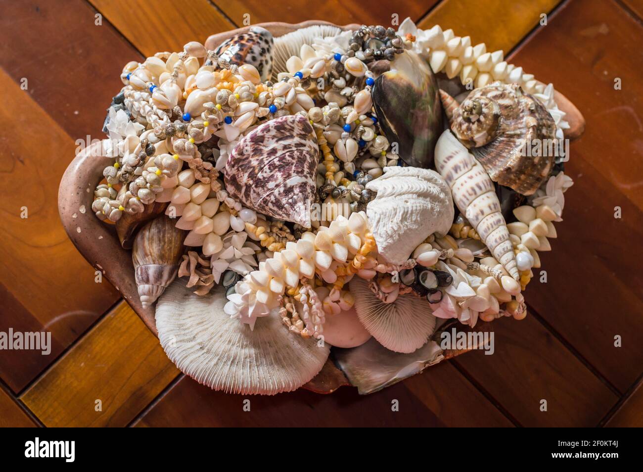Conchiglie e coralli decorativi Foto Stock