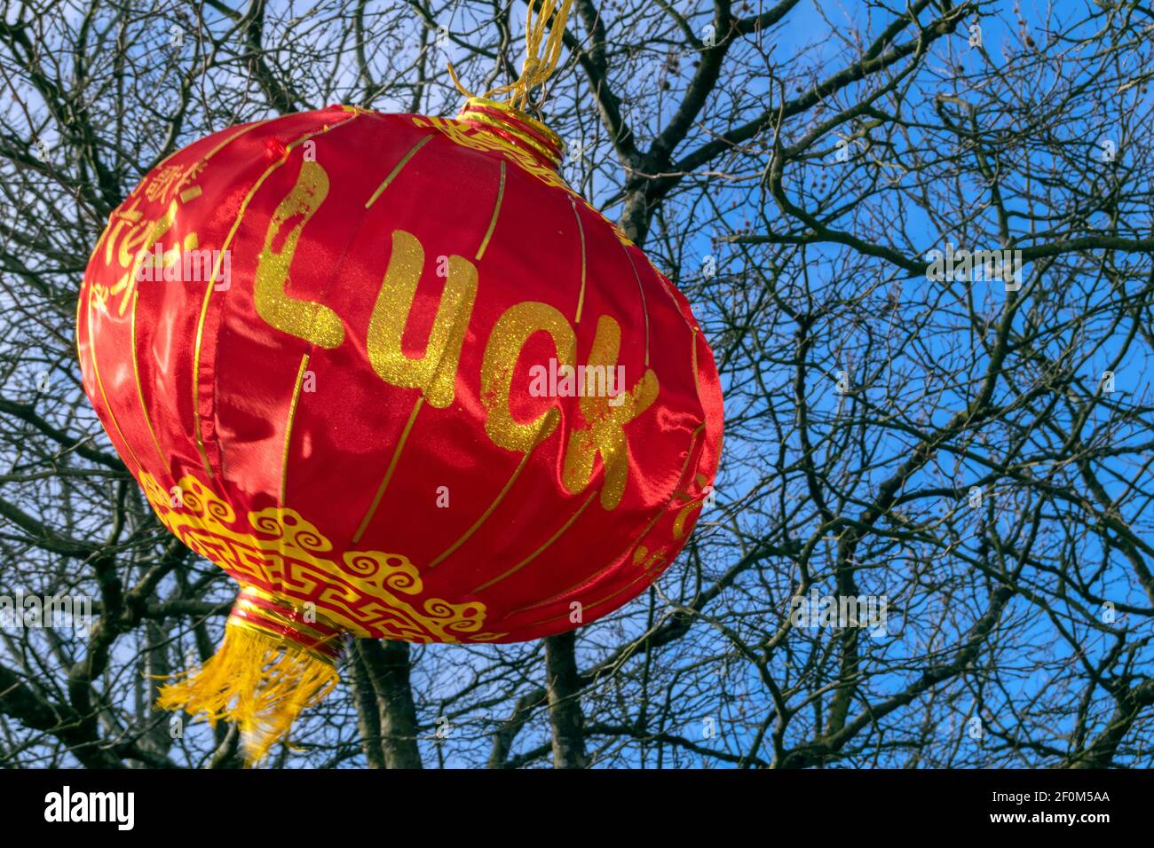 Swansea, UK - 30 gennaio 2021: New Year Red Chines Lanterna fortunata soffia nel vento a Swansea Marina, nel Galles del Sud. Foto Stock