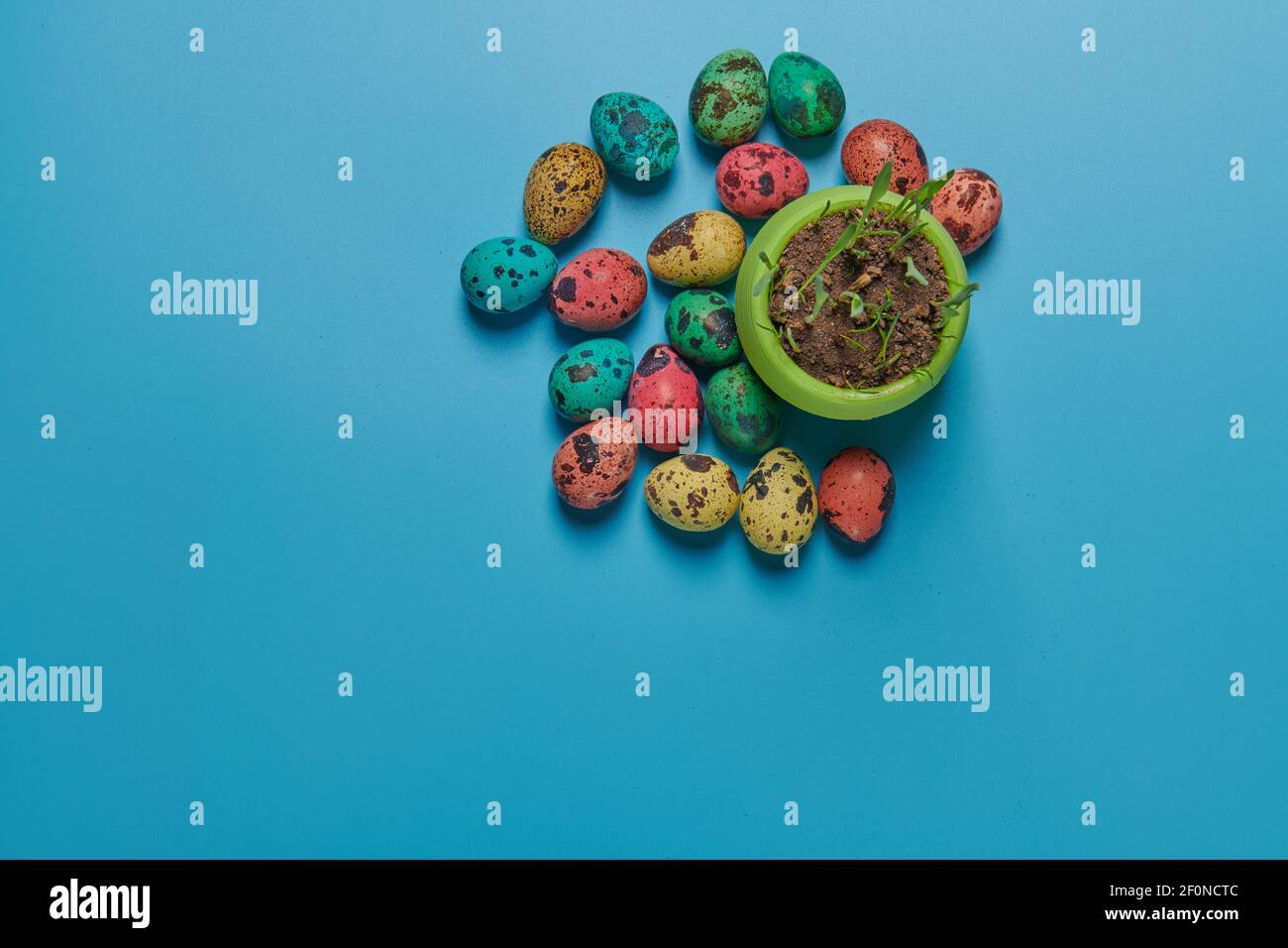 arshka piccola con erba verde giovane e uova colorate per Pasqua Foto Stock