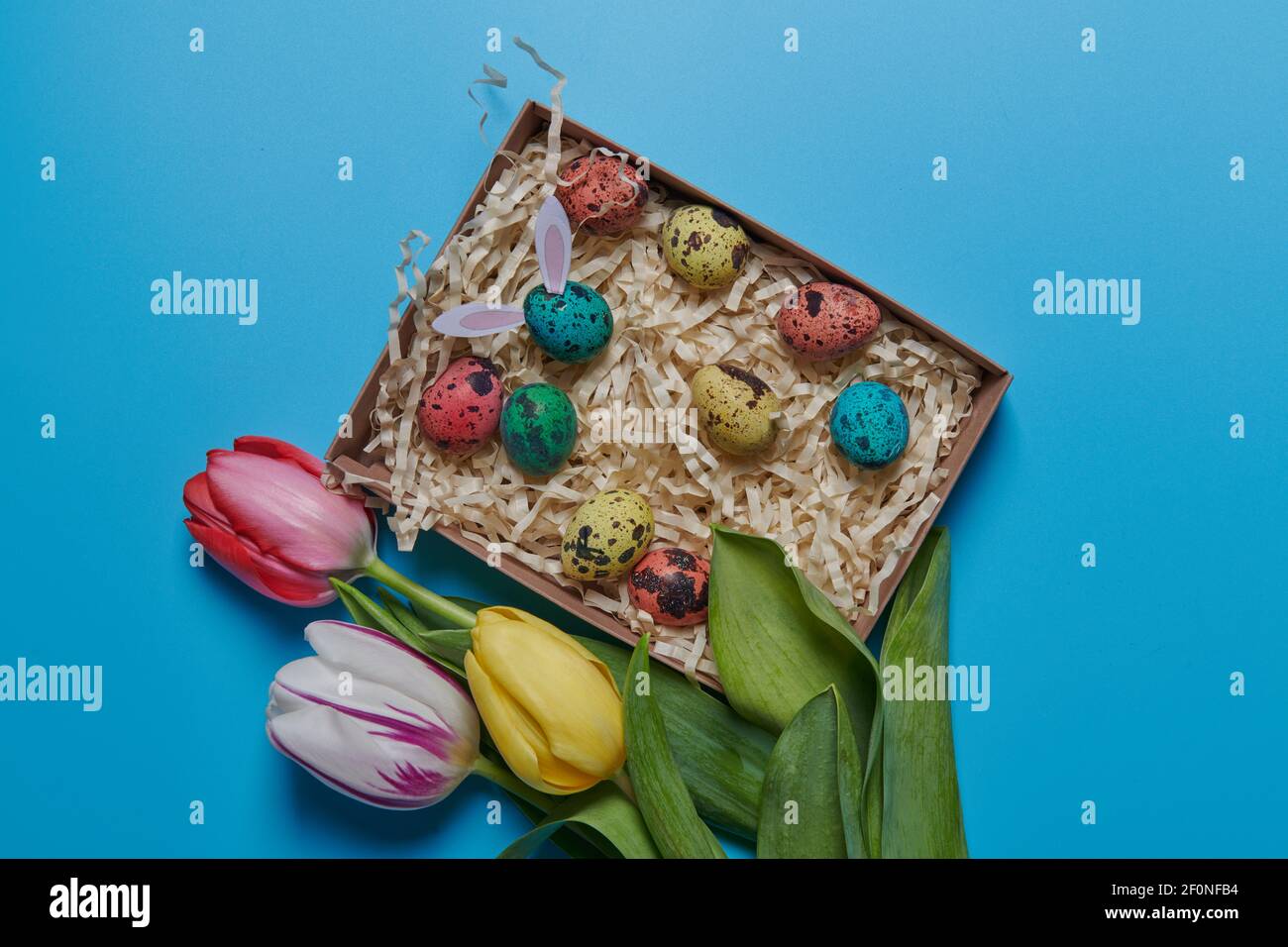 uova colorate in una scatola e tulipani di fiori colorati Foto Stock