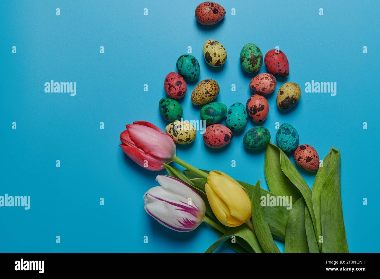 tulipani di fiori colorati e uova dipinte per pasqua Foto Stock