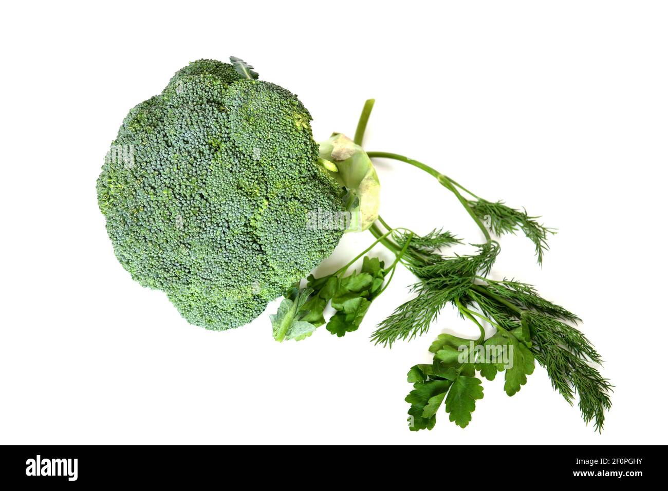 Broccoli (Brassica oleracea), pianta verde commestibile della famiglia dei cavoli (Brassicaceae, Brassica) Foto Stock