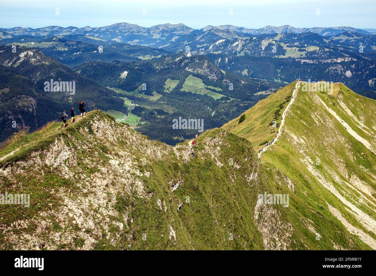 Sentiero escursionistico di cresta Fellhorngrat tra la cima Fellhorn e Soellerkopf, Fellhorn, Oberstdorf, Oberallgaeu, Alpi Allgaeu, Allgaeu, Baviera, Germania Foto Stock