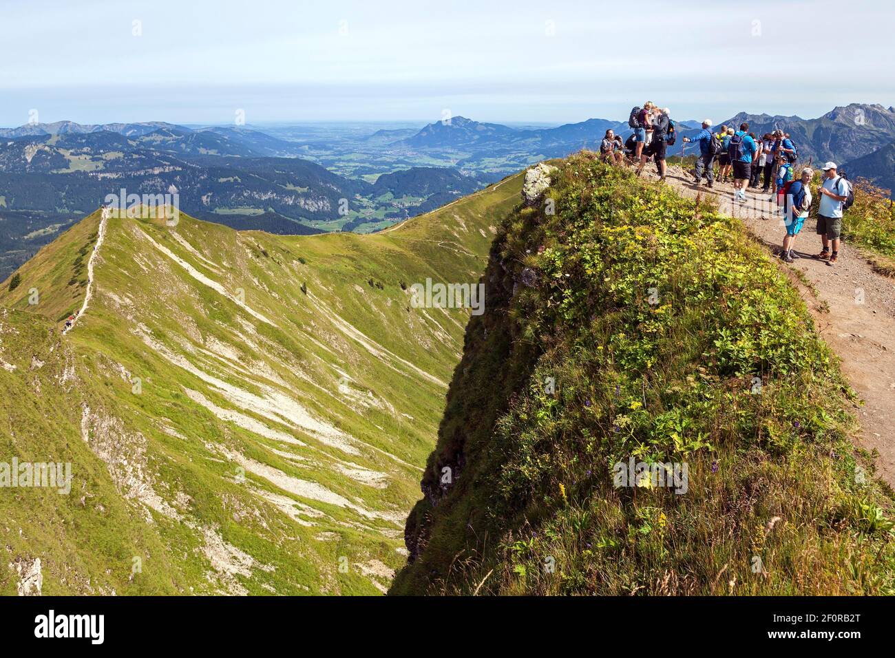 Escursionista alla cima del Fellhorn 2038m, Fellhorn, sentiero di cresta sinistra al crinale di Fellhorn, Oberstdorf, Oberallgaeu, Alpi Allgaeu, Allgaeu, Baviera, Germania Foto Stock